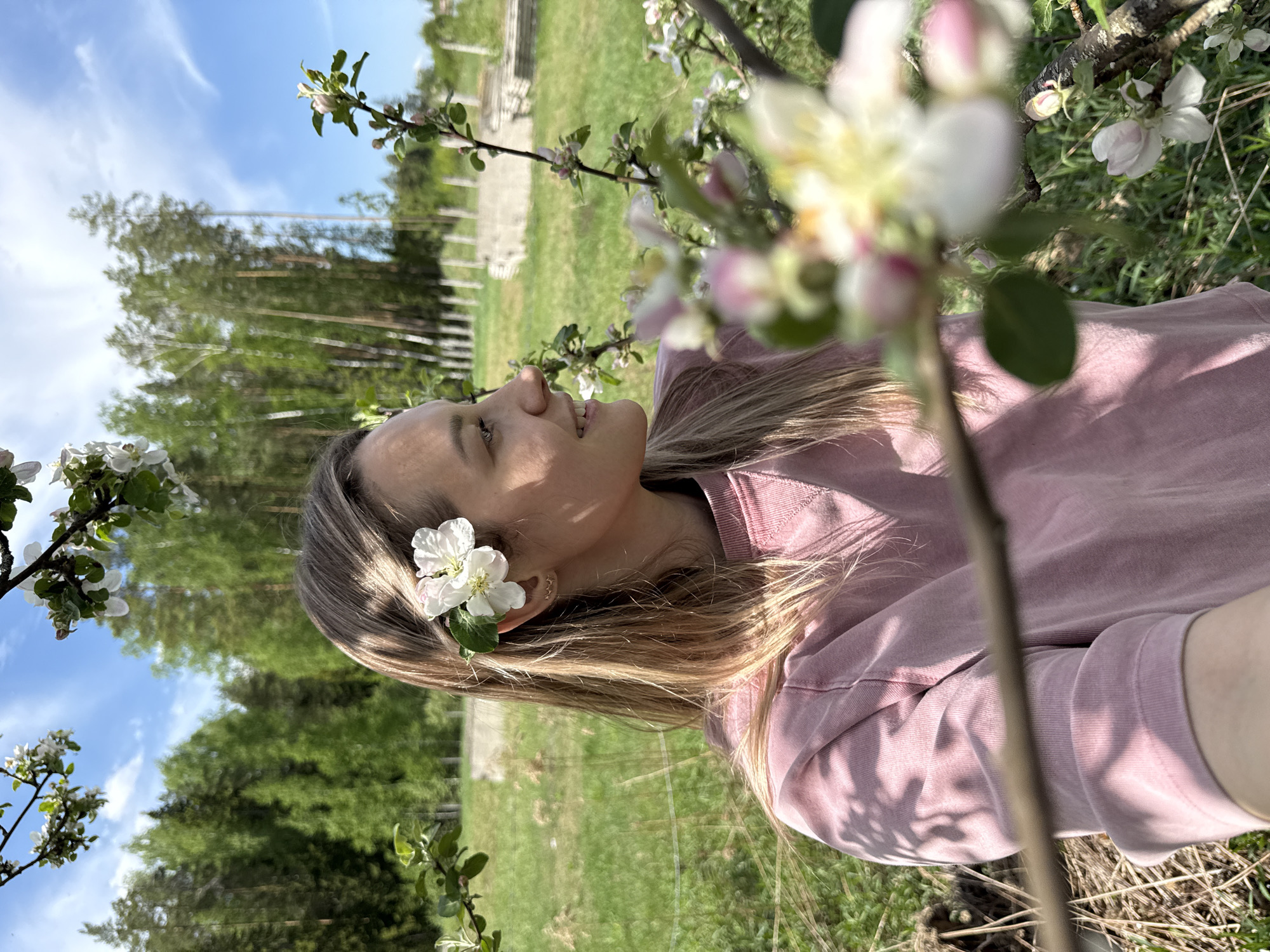 A young woman is outdoors, possibly in an orchard or park in Noviy, Russia. She is wearing a pink sweatshirt. A white flower is placed behind her ear. She is positioned near a blossoming tree branch, some of which is in sharp focus in the foreground, while others are in the background. The background includes grass, trees, and a partial view of a building with a stone foundation. The sky is blue with scattered clouds.