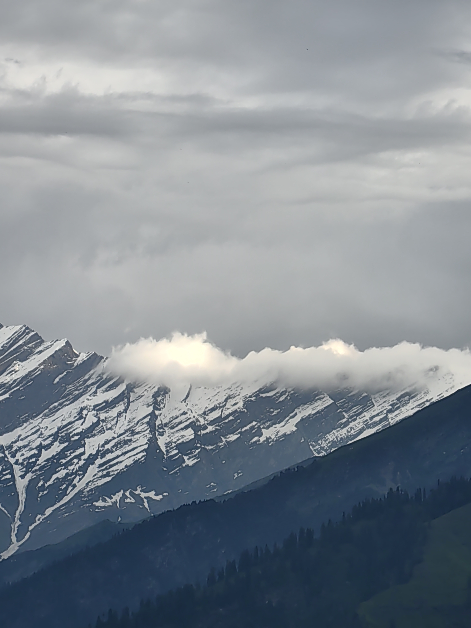 The image captures a majestic view of snow-capped mountains partially obscured by clouds. The mountain slopes are rugged and layered, with visible streaks of snow. A band of white clouds runs horizontally across the mid-section of the mountains, with a bright glow emanating from behind it, suggesting sunlight breaking through. The lower parts of the mountains are covered in dark green pine trees, giving way to lighter green hills at the very bottom. The sky above is overcast with various shades of gray clouds. The scene appears to be a natural landscape, possibly in the vicinity of Vashisht, India, known for its scenic mountain views. There are no people or man-made objects visible in the image.