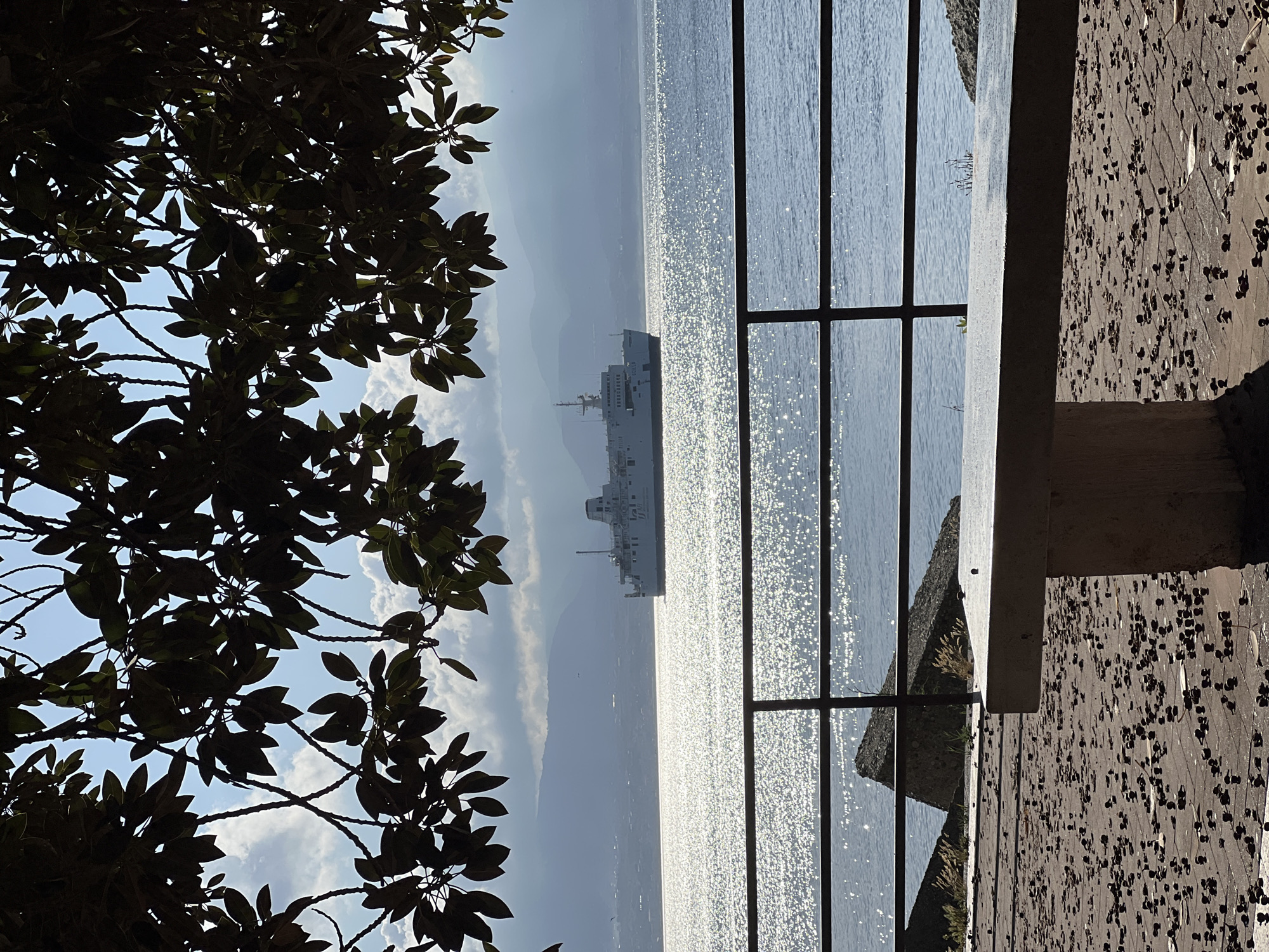 The image depicts a sunlit coastal scene, likely from a promenade in Messina, Italy, overlooking the Strait of Messina. In the immediate foreground, a paved surface, possibly composed of reddish-brown interlocking pavers, is densely covered with numerous small, dark, spherical objects resembling fallen berries or seeds. A light-colored concrete bench occupies the lower right, with only its top and side surfaces visible, casting a shadow to its right.
A dark metal railing, consisting of two horizontal bars, spans the width of the mid-foreground, separating the paved area from the water. Beyond the railing, the expansive body of water, presumably the Strait of Messina, intensely reflects sunlight, creating a sparkling, glinting effect across its surface.
A large, white, multi-deck ferry is positioned centrally on the water, moving from left to right. Its stern is visible, showcasing multiple levels of superstructure, visible windows, and two funnels towards the aft. Irregular concrete or rock structures are partially visible along the water's edge on the left, near the railing.
In the background, a range of hazy, undulating mountains or hills extends across the horizon beneath a partly cloudy sky. The lower slopes of these distant landforms show faint, diffused outlines of urban development. Patches of bright blue sky are visible between the clouds.
The top and upper sides of the image are framed by the dark, silhouetted foliage and branches of a tree, indicating the photograph was taken from beneath its canopy. The leaves are broad and ovate. The scene is illuminated by bright daylight, creating a backlighting effect that renders the foreground tree, railing, and bench in partial silhouette against the bright water and sky. No people or prominent animal life are visible.