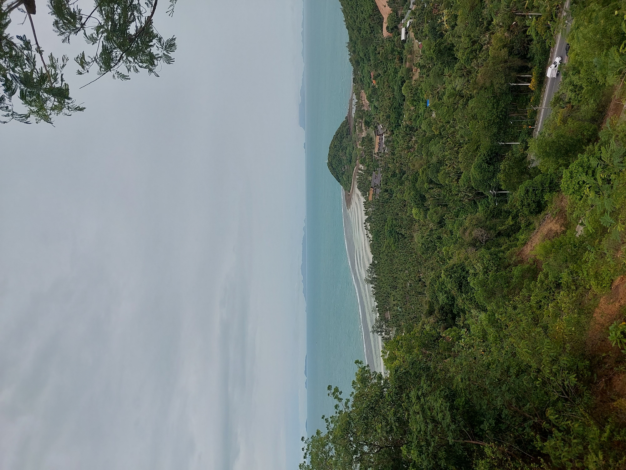 This is a high-angle, medium shot of a lush, green landscape in Ko Samui District, Thailand, with a view of the ocean under a cloudy sky. In the foreground, dense foliage covers the left and bottom portions of the frame. A road snakes through the middle ground on the right, with a white van and a dark car driving on it. Beyond the road, a sprawling green expanse of palm trees and other tropical vegetation stretches out. In the distance, a white sandy beach meets the turquoise ocean, which is dotted with several islands on the horizon. A small, conical, tree-covered island juts out from the coastline in the middle distance, with a small cluster of buildings nestled at its base. The overall atmosphere is serene and tropical.