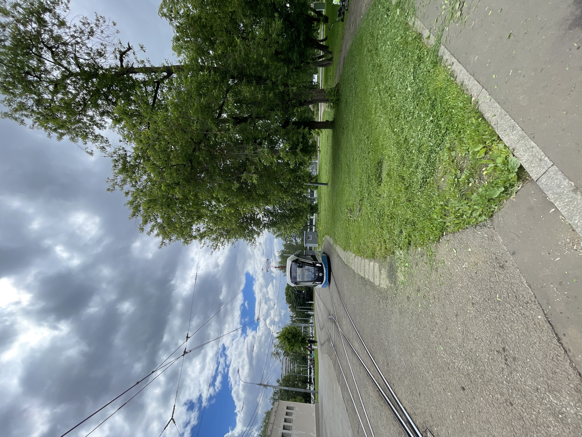 The image shows a streetcar on a track in an urban environment. The location is Unknown, Unknown. A green lawn stretches along the edge of the track, bordered by a sidewalk. A large tree looms over the scene, its branches extending into the frame. Overhead electrical lines are visible against a cloudy sky with patches of blue. A light-colored building can be seen in the distance. The streetcar is primarily white and blue.