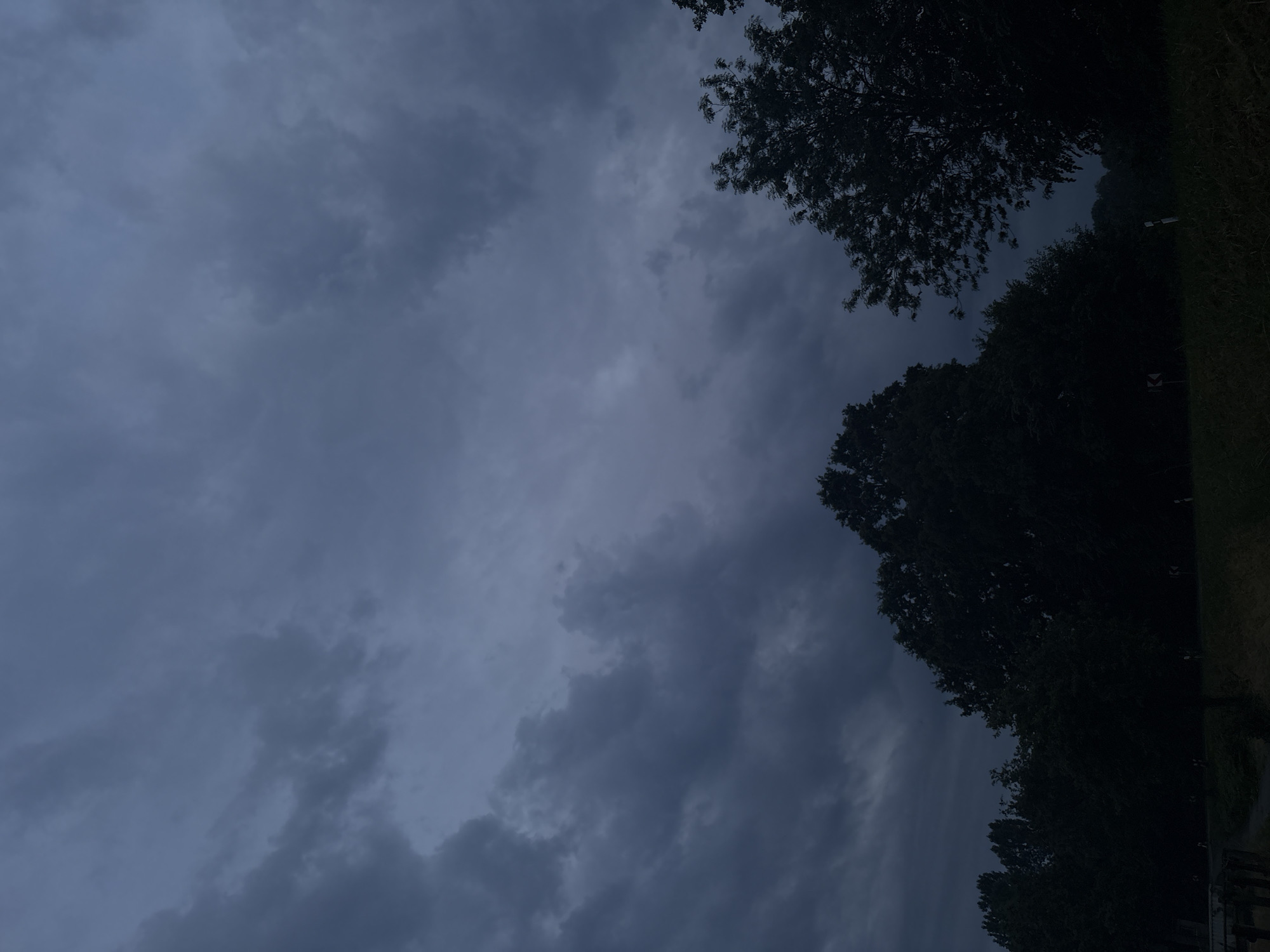 The image depicts a dark, overcast sky filled with heavy, gray clouds. Silhouetted against the sky are the dark shapes of trees and foliage. The lower portion of the image shows a landscape with trees, grass, and a road. There are a few traffic signs visible, including a curve warning sign. The overall impression is of a somber and possibly stormy atmosphere. The location in Delbrück, Germany is not discernible from the visual information in the image.