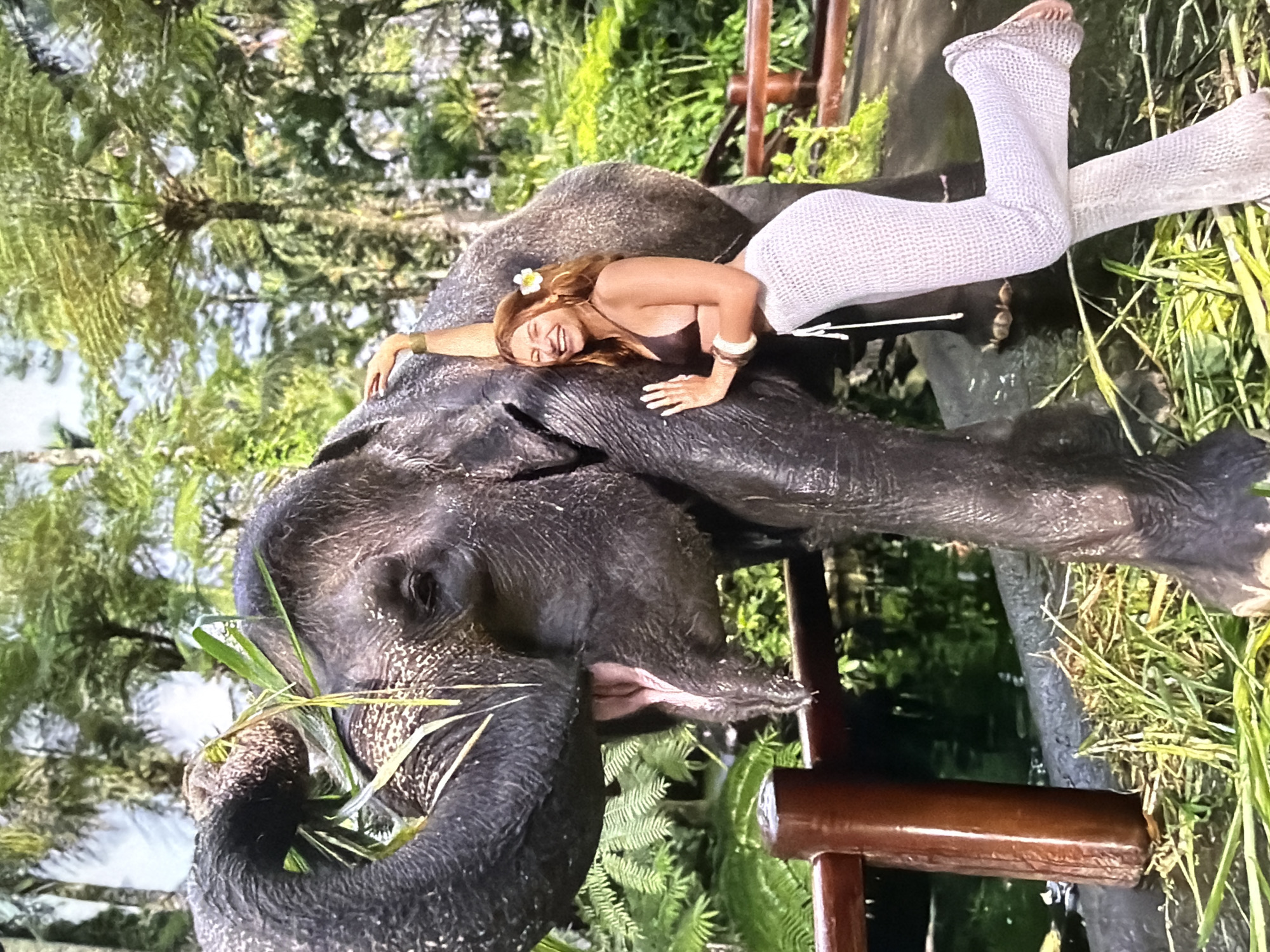 This vibrant image captures a joyful interaction between a woman and an elephant in a lush, tropical environment. The primary subjects are a young woman and a large, dark-skinned elephant.
The woman is lying on the elephant's back, resting her head on its shoulder area. She is smiling broadly and appears happy and relaxed. Her reddish-brown hair is adorned with a white flower. She is dressed in a dark-colored bikini top and light-colored, possibly white or off-white, crocheted or knit wide-leg pants. Bracelets are visible on her arms.
The elephant, a majestic and calm animal, is seen actively eating. Its trunk is curled, holding a bundle of green grass, which it brings towards its mouth. Its skin shows textured patterns and wrinkles.
The setting is an outdoor, natural landscape, abundant with dense green foliage, including tall trees and various ferns, characteristic of a tropical jungle or a well-maintained sanctuary. A sturdy wooden railing or structure is present in both the foreground and background, suggesting a designated area for interaction or observation. The bright, clear lighting indicates it is daytime, likely under sunny conditions. There is no visible text in the image. The scene evokes a sense of tranquility and connection with nature.