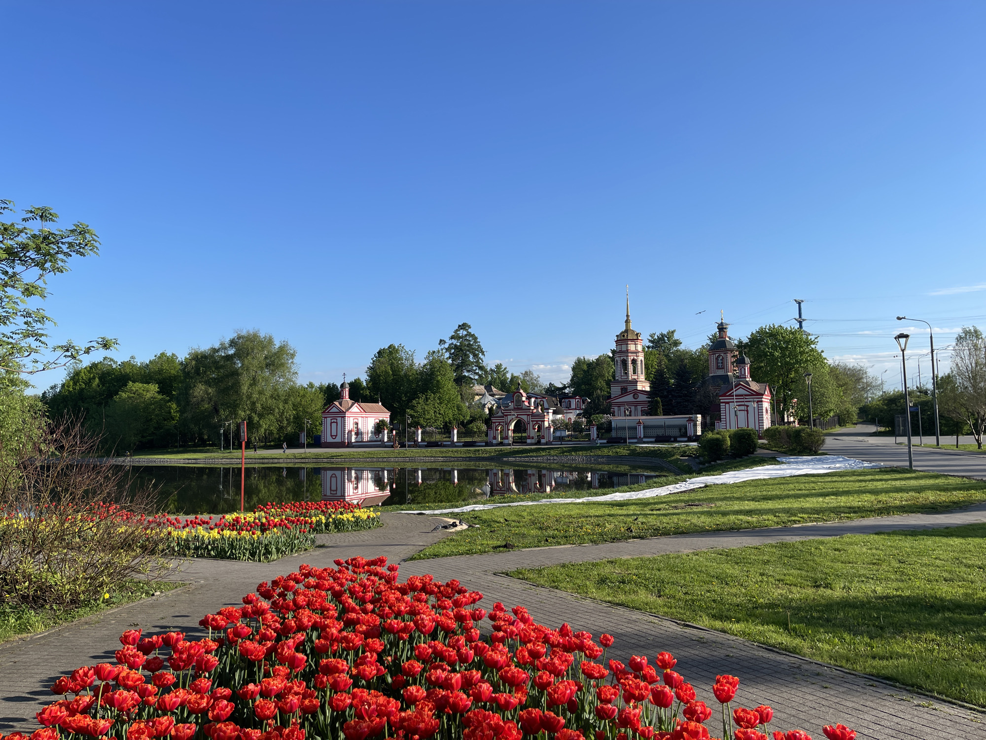 The image shows a park in Moscow, Russia, likely in springtime. In the foreground, a flower bed is full of red tulips, bordered by a paved pathway. Beyond the tulips, there is a small pond reflecting the buildings and trees on the opposite bank. On the far side of the pond, there's an array of buildings, mostly churches and chapels, painted in white and red with gold-colored domes. The buildings are surrounded by green trees. To the right of the buildings, a green lawn leads to a paved road with street lights. The sky above is clear and blue. No people are visible in the frame. A white sheet or tarp stretches across the green grass between the pond and the road.