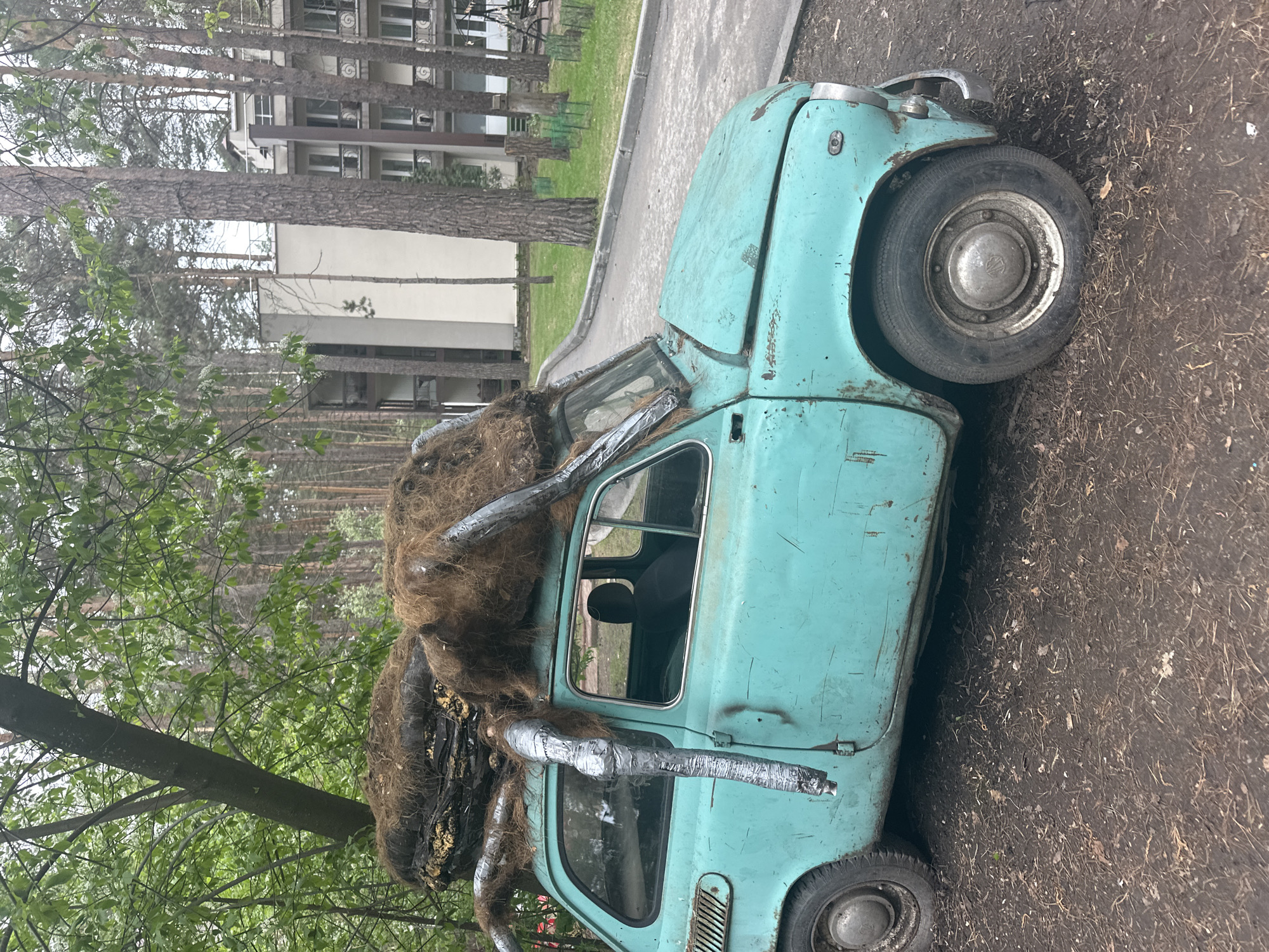 The image shows a light blue, older model car that has been modified to resemble a spider. The car is parked on a dirt surface next to a paved walkway, near trees and a multi-story building. The spider-like modifications appear to be made from dark brown material, possibly straw or a similar fiber, and silver-colored, duct-taped pipe-like structures are attached to the sides of the car to represent legs. The environment suggests a park or public area. No people are visible. Location: Berdsk municipality, Russia.