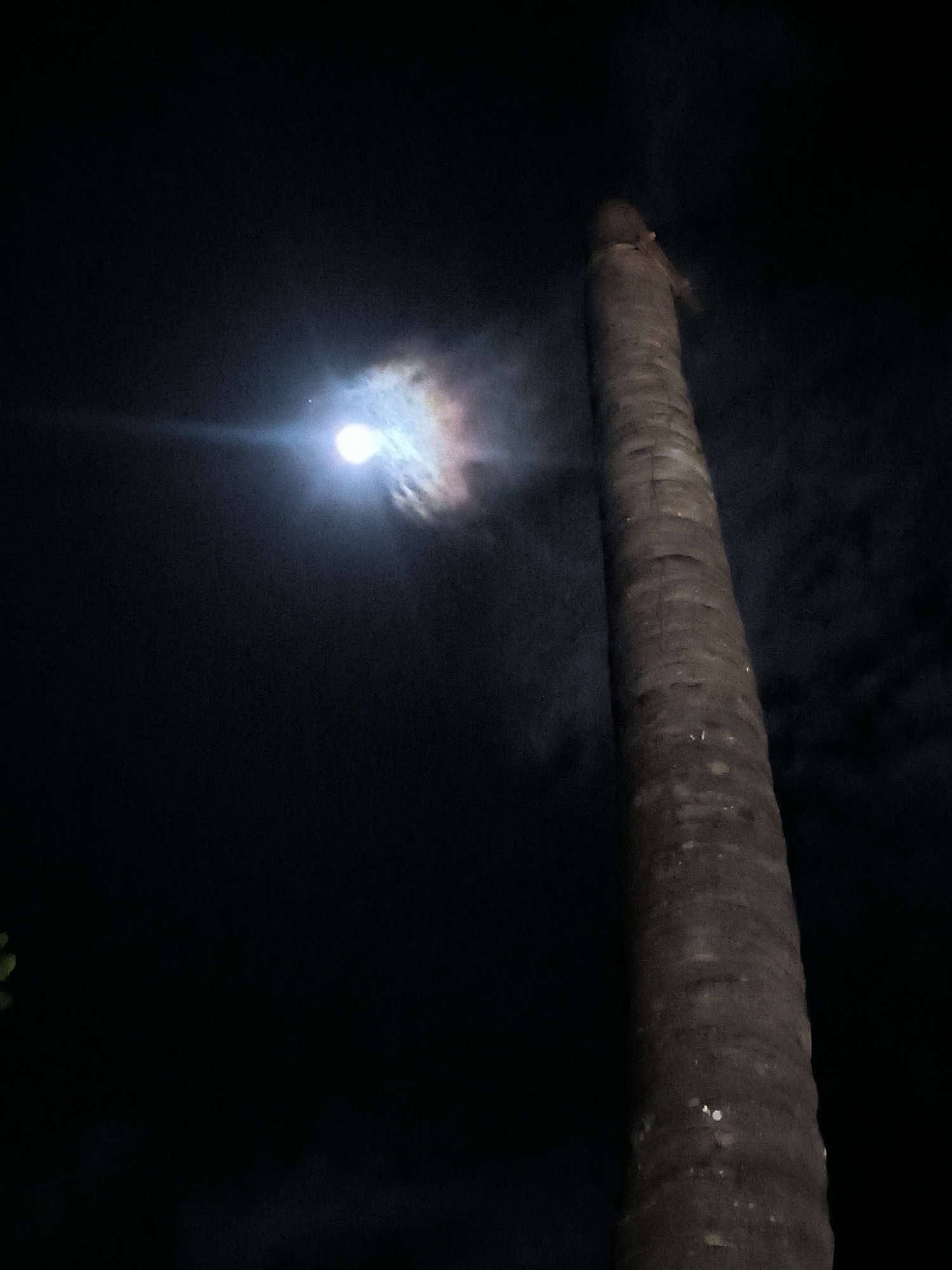 The image, taken at night in Merbopuntong, Indonesia, depicts the moon through some clouds with an elongated beam of light emanating from it, positioned to the left of a tall, bare palm tree trunk. The sky is otherwise dark, and a few leaves are visible at the bottom left corner of the frame.