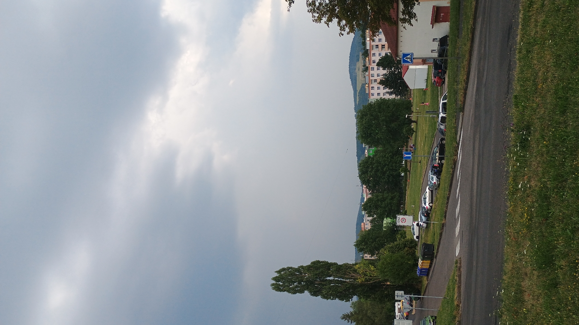 The image depicts a street scene in Sokolov, Czechia, characterized by a cloudy sky. In the foreground, a road is visible with a grassy verge and wildflowers. Adjacent to the road is a parking lot where several cars are parked, including a white van, black SUVs, and other sedans. Trash bins are lined up near the parking lot entrance. A tall, slender tree stands prominently to the left of the frame, with a cluster of deciduous trees behind it. In the background, multi-story residential buildings are situated, some with colorful facades. Further in the distance, rolling hills are visible under the overcast sky. A pedestrian crossing is marked on the road in the foreground. Two blue street signs, one indicating a directional arrow and the other a pedestrian crossing, are present in the parking lot area.