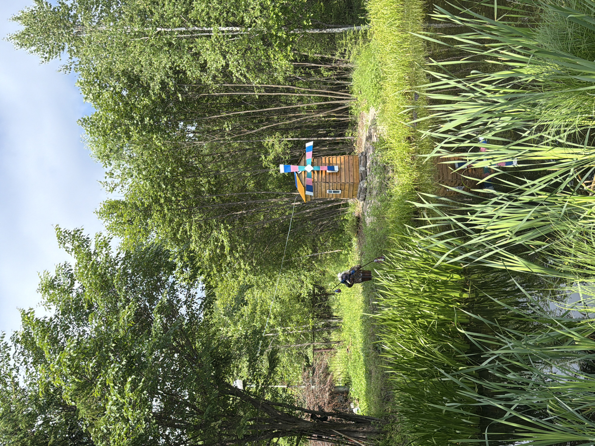 The image depicts a rural scene in Kul'dur, Russia. In the foreground, a dark body of water is densely populated with tall, green reeds. Beyond the reeds, a small, wooden windmill with colorful blades stands on a rocky base. The windmill is surrounded by lush green grass and a dense forest of trees. To the left of the windmill, a scarecrow-like figure is visible, leaning on a pole, and appears to be holding something. The background is dominated by the forest, with a mix of deciduous and coniferous trees under a bright, partly cloudy sky. A fence is partially visible to the left of the windmill, suggesting the edge of a property.
