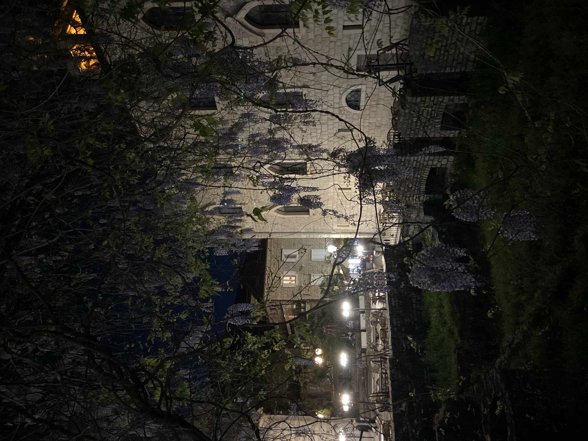 The image shows a night view in Budva, Montenegro. A stone building with arched windows and lit windows is visible behind blooming wisteria vines. Lights are strung along a street or courtyard, illuminating tables and chairs, suggesting an outdoor dining area. There are no people visible. The environment is dark with vegetation around the buildings.