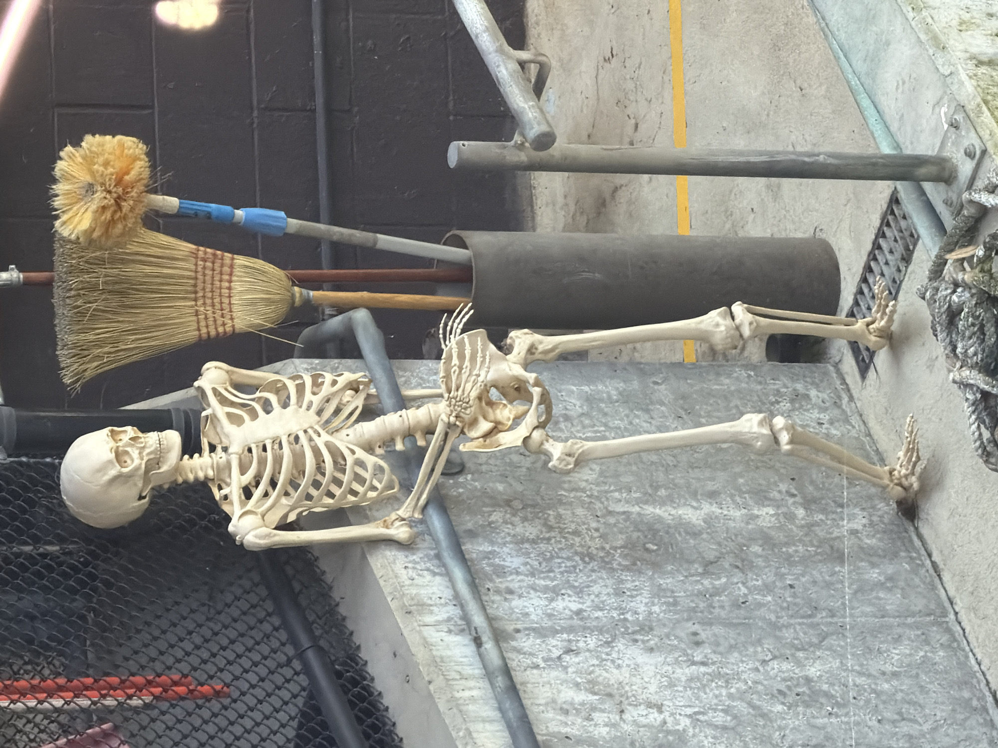 A full-body skeleton prop is positioned outdoors in San Francisco, California, United States of America. The skeleton is made of a beige material and is standing, with its left arm resting on a grey metal pipe. To the right of the skeleton, leaning against a dark brick wall, are two brooms and a mop. One broom has a light brown handle and straw bristles, while the mop has a blue handle with a yellow fuzzy head. The skeleton and cleaning tools are situated next to a textured grey concrete wall and a metal railing. The ground appears to be concrete with a metal grate and a yellow line painted on it. In the background, a black chain-link fence can be seen.