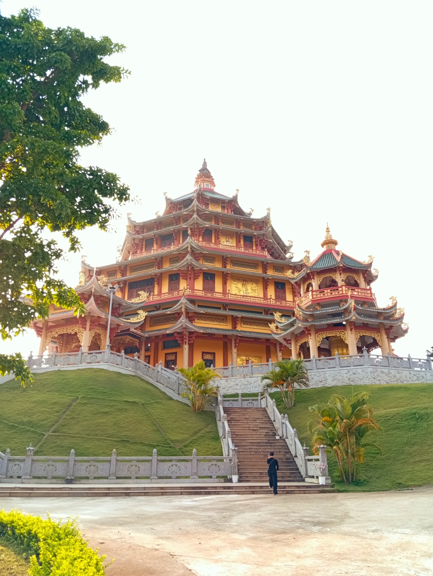 This image captures a grand, multi-tiered temple or pagoda, showcasing ornate East Asian architectural style. The dominant colors of the structure are vibrant orange, red, and gold, with intricate details, carved embellishments, and green-tiled roofs featuring distinctive curved eaves.
The temple stands majestically atop a verdant green hill, which is meticulously landscaped. A wide, imposing stone staircase, flanked by decorative stone balustrades, leads up to the temple's entrance. A single person, dressed in dark attire, is visible walking up these stairs, away from the viewer, towards the impressive edifice.
The foreground consists of a paved area, likely a courtyard or pathway, leading to the foot of the stairs. On the left side, a large tree with lush green foliage frames the scene, while several palm trees and other smaller bushes are scattered around the base of the hill and near the temple structure.
The bright, clear sky suggests it is daytime, possibly morning or late afternoon, with sunny weather. The scene conveys a sense of grandeur, tranquility, and cultural significance. Given the architectural style and context, this is likely a prominent religious or heritage site in Phú An, Vietnam. No visible text is discernible in the image.