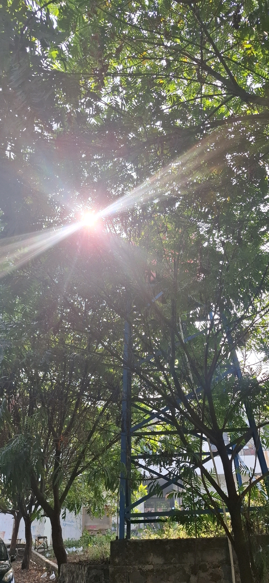 The image depicts a low-angle view looking upwards through the canopy of trees in Cilaku, Indonesia. The sun is shining brightly, creating lens flare and visible light rays that pierce through the dense foliage. The leaves are green and appear to be from a deciduous tree. In the background, partially obscured by the trees, is a blue metal structure, possibly a support beam or part of a building. A stone wall is visible in the lower foreground, and a small section of a car is visible on the far left. The scene appears to be outdoors, potentially in a park or residential area.