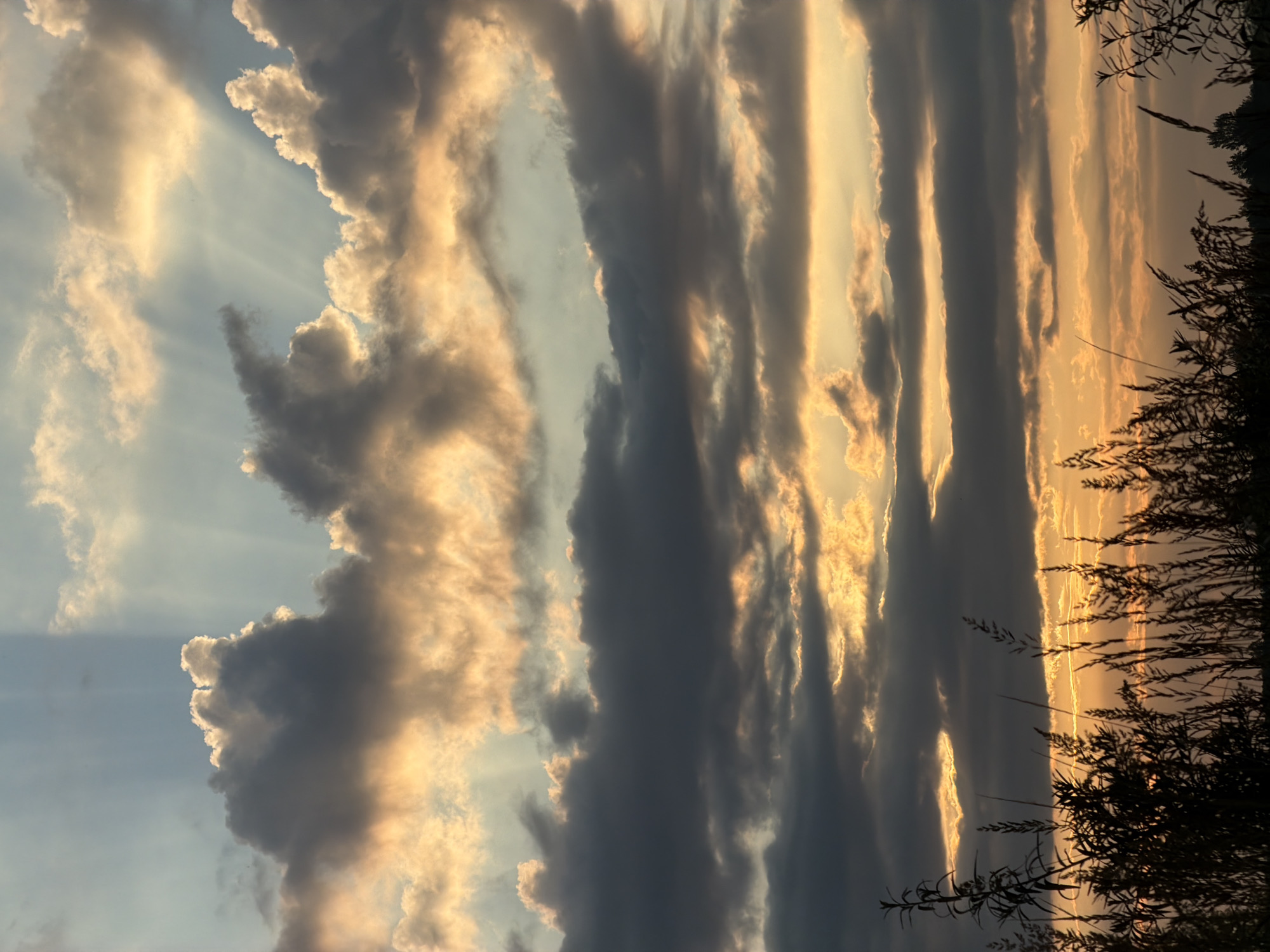 The image depicts a dramatic sunset over the city of Kambarka, Russia. The sky is filled with a dynamic arrangement of clouds, with shafts of sunlight breaking through, creating a celestial display. The lower portion of the image features silhouettes of tall grass and foliage against the vibrant hues of the sunset. The scene is serene and natural, with no human presence or urban structures immediately visible.