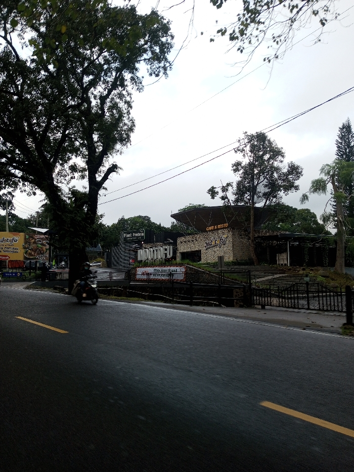 The image displays a roadside scene, stated to be located in Dawathang_Dorjibi_Kashingtsawa, Bhutan, under an overcast, light gray sky. The foreground features a dark, damp asphalt road with a segment of a yellow center line visible on the left. A dark-colored scooter, occupied by a single rider, travels away from the viewer on the left side of the road, exhibiting slight motion blur.
To the left of the road, a large, mature tree with dark, dense foliage partially obscures the background. Behind this tree, a vertical yellow and blue billboard-style sign advertises food items, including visible Indonesian text "MIE AYAM" (chicken noodles) and "BASO" (meatballs), with additional partially obscured text like "deto-fu". Further behind, a sign displaying "Plant Protein JOURNEY 21" is also visible.
On the right side of the road stands a commercial building complex, characterized by a textured, light-colored facade and a distinctive dark, curved roof structure. A prominent sign on the building clearly displays "INDOTOFU" in dark lettering, with "CAFE & RESTO" written on a sign directly above it. Below "INDOTOFU", a red and white banner is present, featuring partially visible Indonesian text including "MEDAN SELERA". The building is fronted by a black metal fence or railing, with a landscaped area and steps leading up to the entrance. Various green trees and dense shrubbery surround the complex. Overhead, multiple thin utility lines traverse the frame against the sky. The environment suggests a semi-urban or suburban setting.