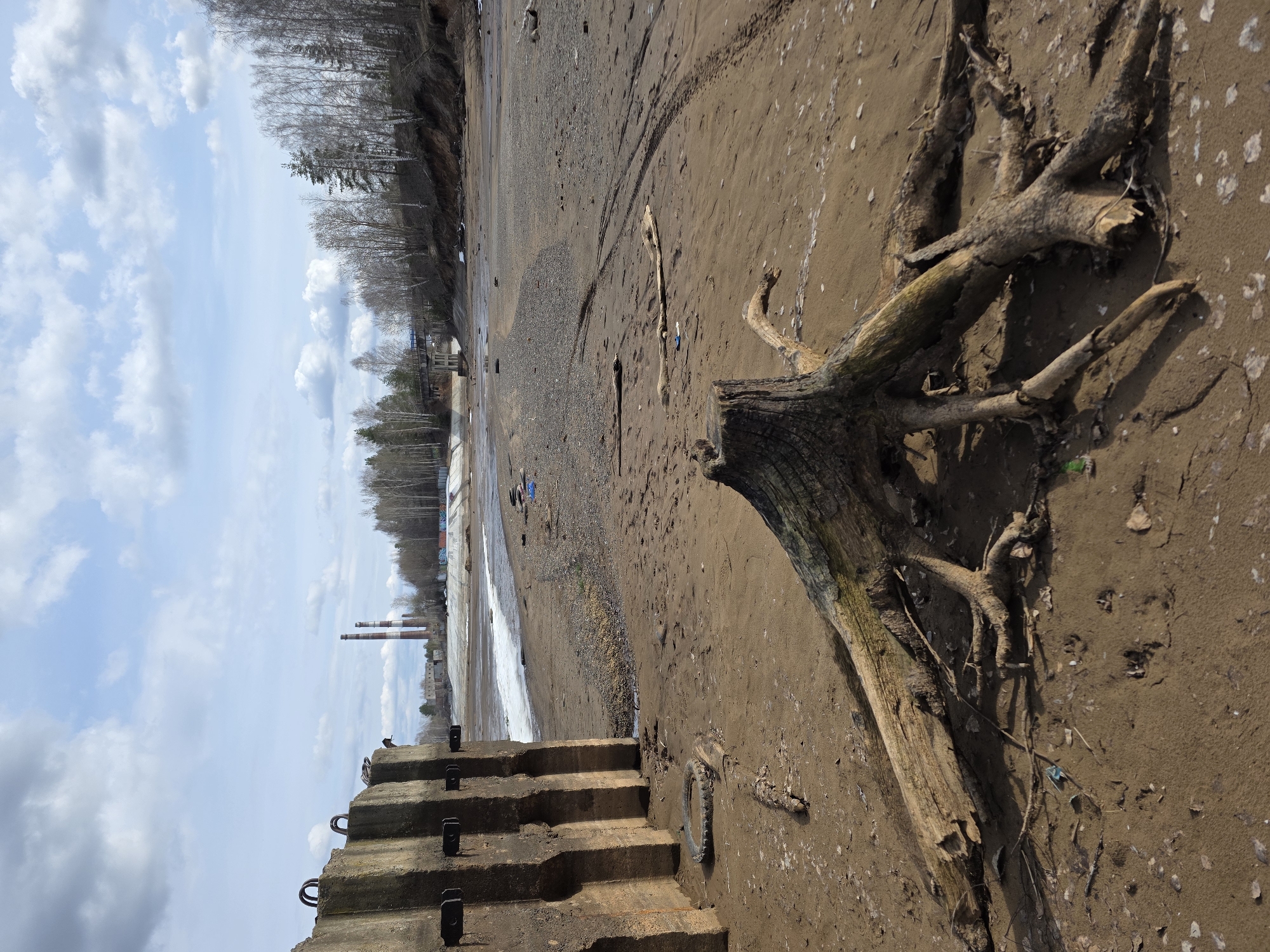 The image shows a desolate beach scene in Chaikovsky, Russia. The ground is a mixture of sand and mud. A decaying tree stump and roots are prominent in the foreground. Debris litters the beach. In the background are industrial smokestacks and a forested area. A concrete staircase leads down to the beach. The sky is overcast with patches of blue. There are no people visible.