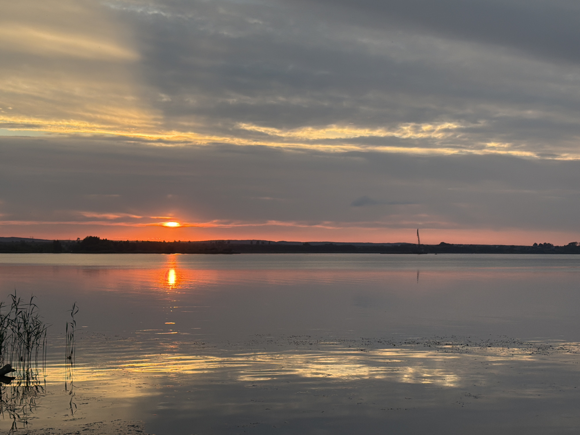 The image depicts a serene sunset over a body of water, likely a lake or a wide river, near the village of Kvasovsky Sel'skiy Sovet, Belarus. The sun, a vibrant orange orb, is low on the horizon, casting a warm glow across the sky and its reflection on the water's surface. The sky is a tapestry of colors, with hues of orange, yellow, and gray from the setting sun and the clouds. Wisps of clouds stretch across the sky, some illuminated by the sun's rays, while others are darker and more ominous.
The water is calm, with gentle ripples disturbing the otherwise smooth surface. The reflection of the sunset is prominent, creating a shimmering band of color across the water. In the foreground, on the left side of the image, reeds and tall grasses grow along the water's edge, adding a touch of natural detail. There are also some dark, indistinct objects in the water near the reeds, possibly logs or debris.
The horizon line is marked by a distant, silhouetted treeline and the faint outlines of structures. In the middle distance, a tall, slender structure resembling a sail or a mast can be seen on the water, adding a solitary element to the expansive landscape. The overall atmosphere is one of tranquility and natural beauty.