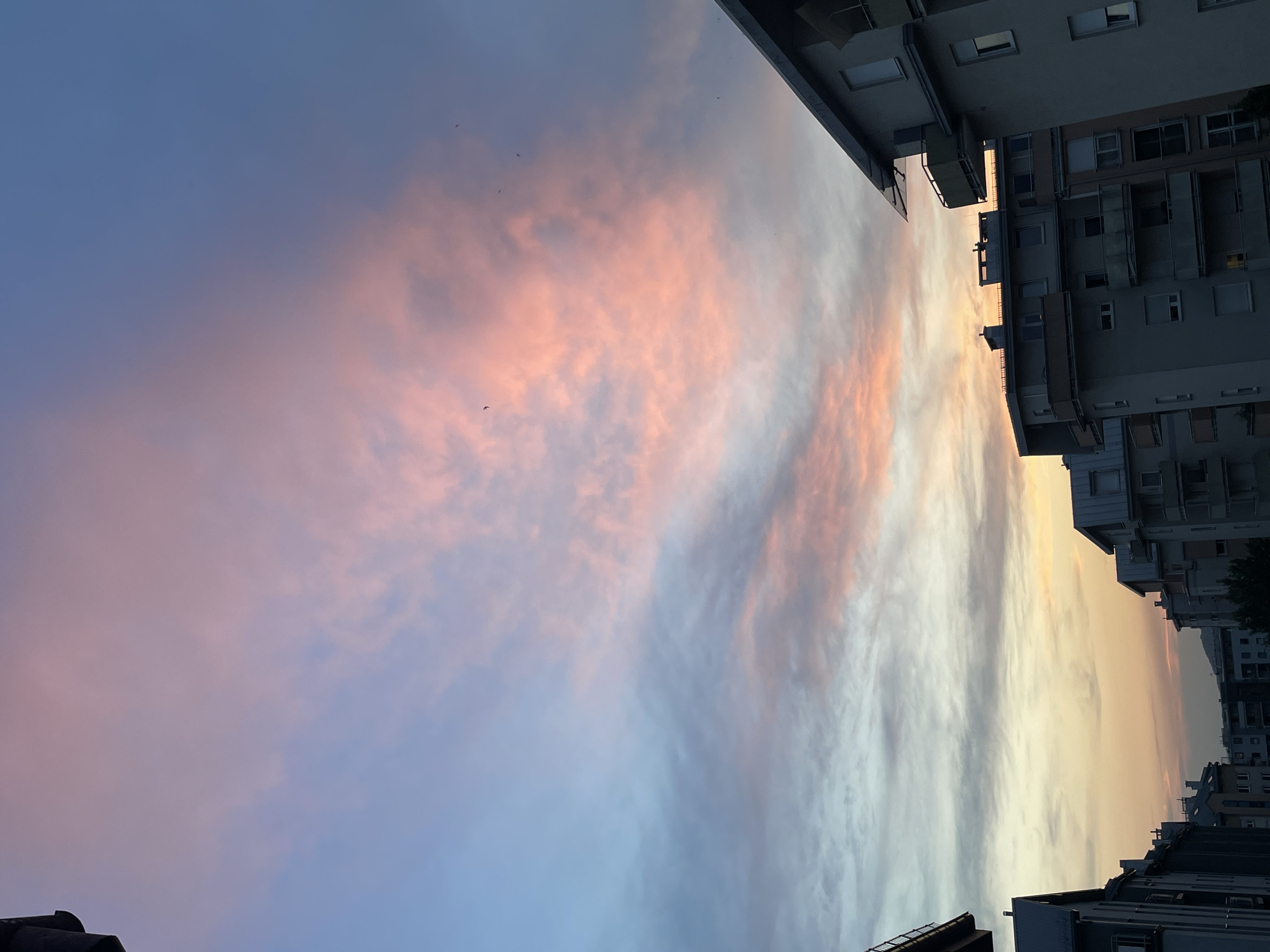 The media file shows a city skyline at dusk. The sky is filled with soft pink and orange clouds, transitioning into a pale blue at the top. Several small, dark shapes, likely birds, are visible flying in the sky. The foreground is dominated by the silhouetted rooftops of buildings, with the upper sections of apartment buildings visible on the right side of the image. These buildings are dark and angular, with numerous windows. The overall impression is one of a peaceful, urban evening. The time of day is clearly dusk or twilight, indicated by the colors of the sky and the shadows. The weather appears to be clear with some cloud cover. There are no people or specific objects of interest that can be identified. No text is visible in the image. The location is an urban setting with multi-story residential buildings.
