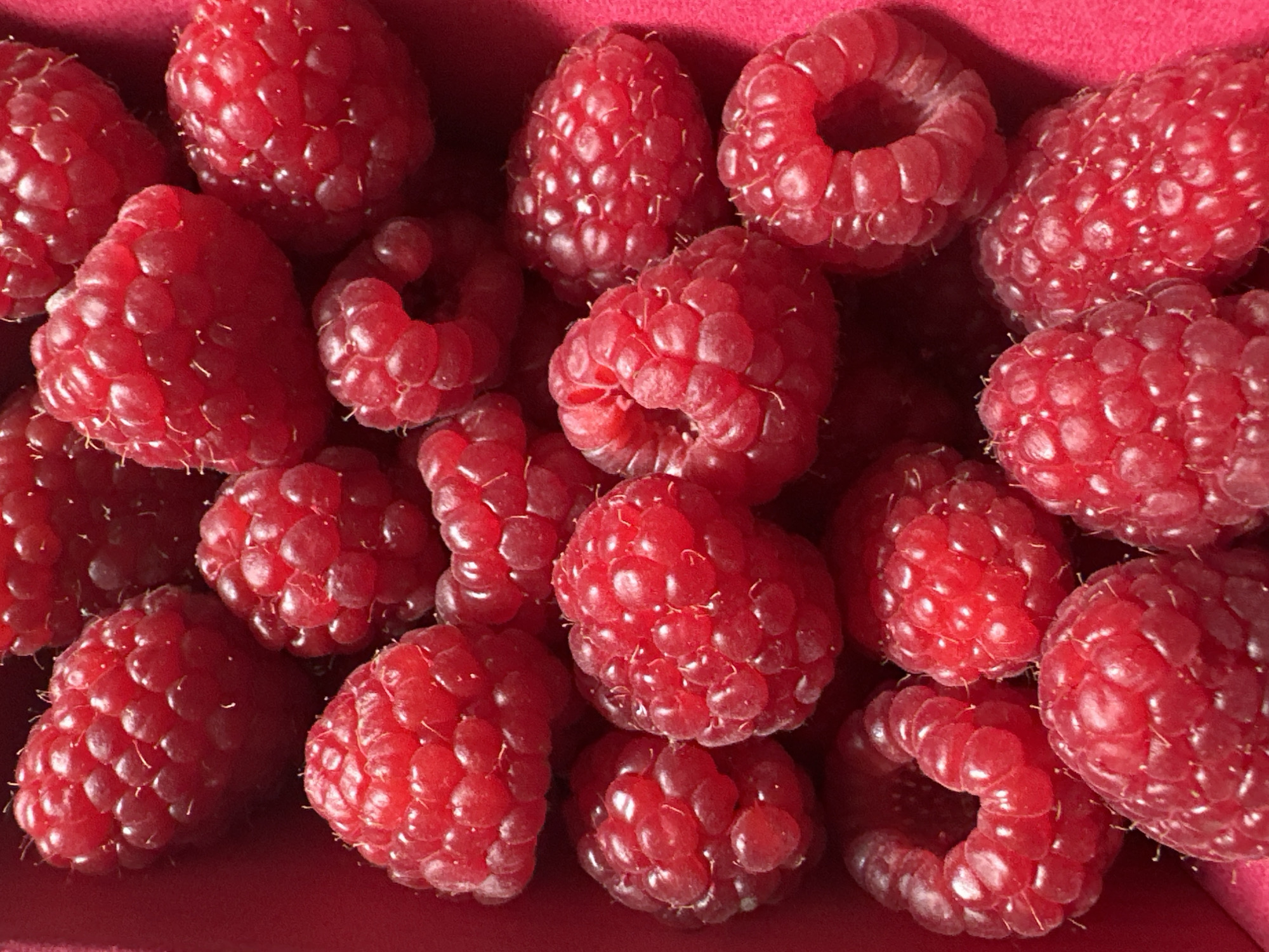 A close-up, top-down view of a collection of ripe raspberries is presented. The raspberries are a vibrant red, with their characteristic bumpy texture clearly visible. They are densely packed together, filling the frame. The background is a solid, dark red, likely the surface of a container or fabric. There are no people, actions, or interactions depicted. The image is purely a still life of fruit. The location in the city of Tallinn, Estonia, is not indicated in the visual information of the image.
