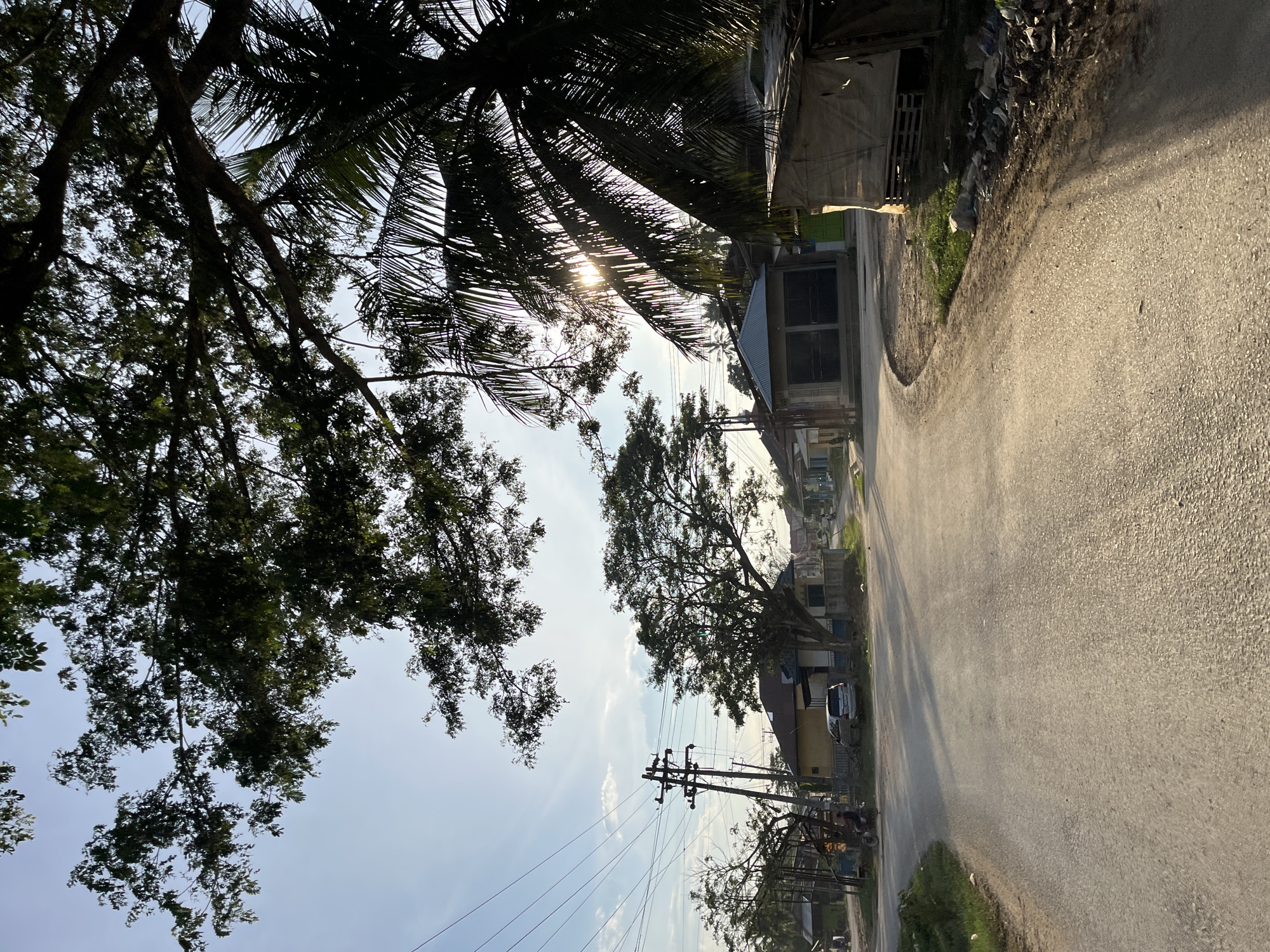 This is a medium-range, eye-level, full outdoor shot of a paved road curving through a rural residential area in Alurcucur, Indonesia. The time of day appears to be late afternoon due to the long shadows cast by the trees and structures.
In the foreground, the asphalt road is well-maintained and shows tire tracks and some debris along the edges. To the left of the road, there is a patch of grass. To the right, the edge of the road is lined with a mix of grass, dirt, and accumulated trash.
Further into the scene, on the left side of the road, a utility pole with multiple wires is visible. Behind it, a light-colored sedan is parked in front of a yellow-and-white house. A motorcycle with a rider is moving away from the viewer on the left side of the road.
Across the road, on the right, is a small, open-sided structure with a corrugated metal roof, supported by wooden pallets. Next to it is a longer, rectangular building with a gray, sloped roof and dark-colored doors or shutters. Further down the road, more houses and trees are visible.
Looming over the scene are large trees with lush green foliage. A prominent coconut palm tree on the right side of the frame partially obscures the sun, creating a sunburst effect and casting dappled shadows. The sky is a clear, pale blue with a few wispy white clouds. The overall impression is of a quiet, sun-drenched village street.