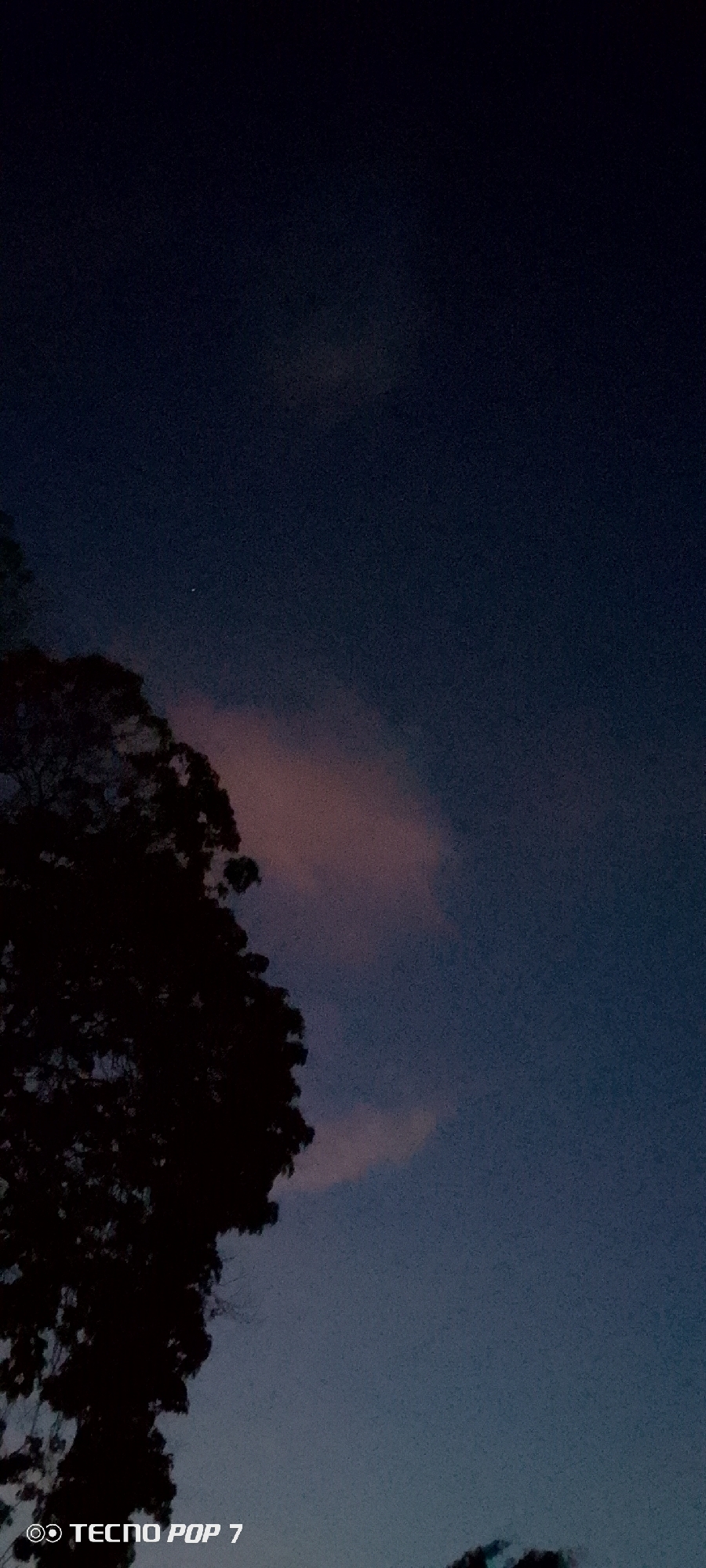 The image captures a dark, dusky sky with a silhouette of a large tree on the left side. A faint, pinkish cloud is visible in the upper right quadrant of the sky. There is a tiny speck of light, possibly a star or a distant planet, in the sky above the tree. The bottom left corner of the image displays the text "TECNO POP 7," indicating the device used to capture the photo. The scene is devoid of any people or human activity, and the environment appears to be natural, likely in a semi-rural or natural area on the outskirts of Altagracia, Venezuela, given the dusky sky and tree.
