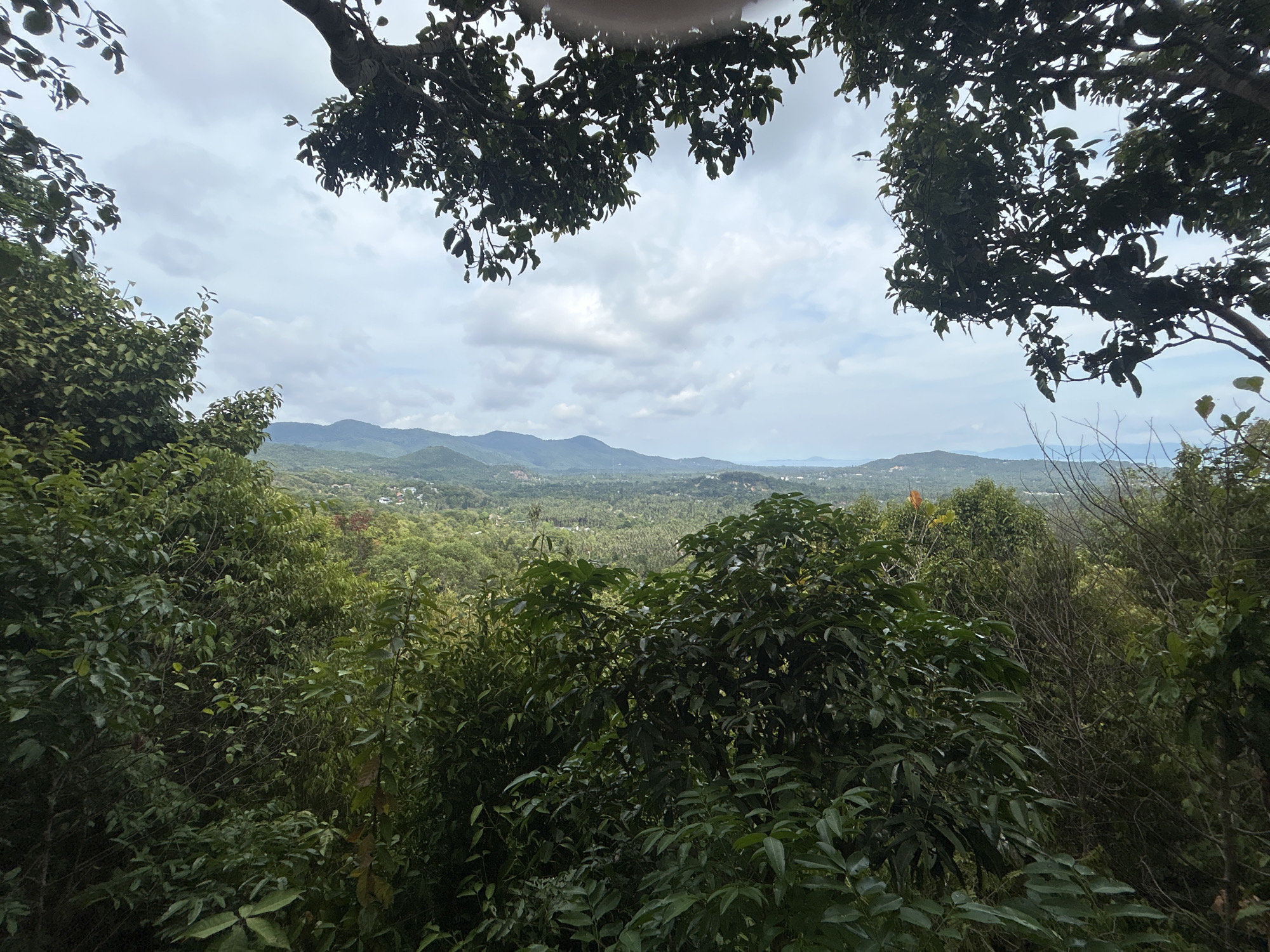 The image shows a view of the landscape from what appears to be a high vantage point in Baan Hin Kong, Thailand. Lush green vegetation dominates the foreground, with trees and dense foliage filling the frame. In the distance, rolling hills and valleys stretch out under a cloudy sky. It's a wide-angle shot, captured during the daytime, and likely outdoors, with focus on the natural scenery. No people or animals are readily visible in the shot.