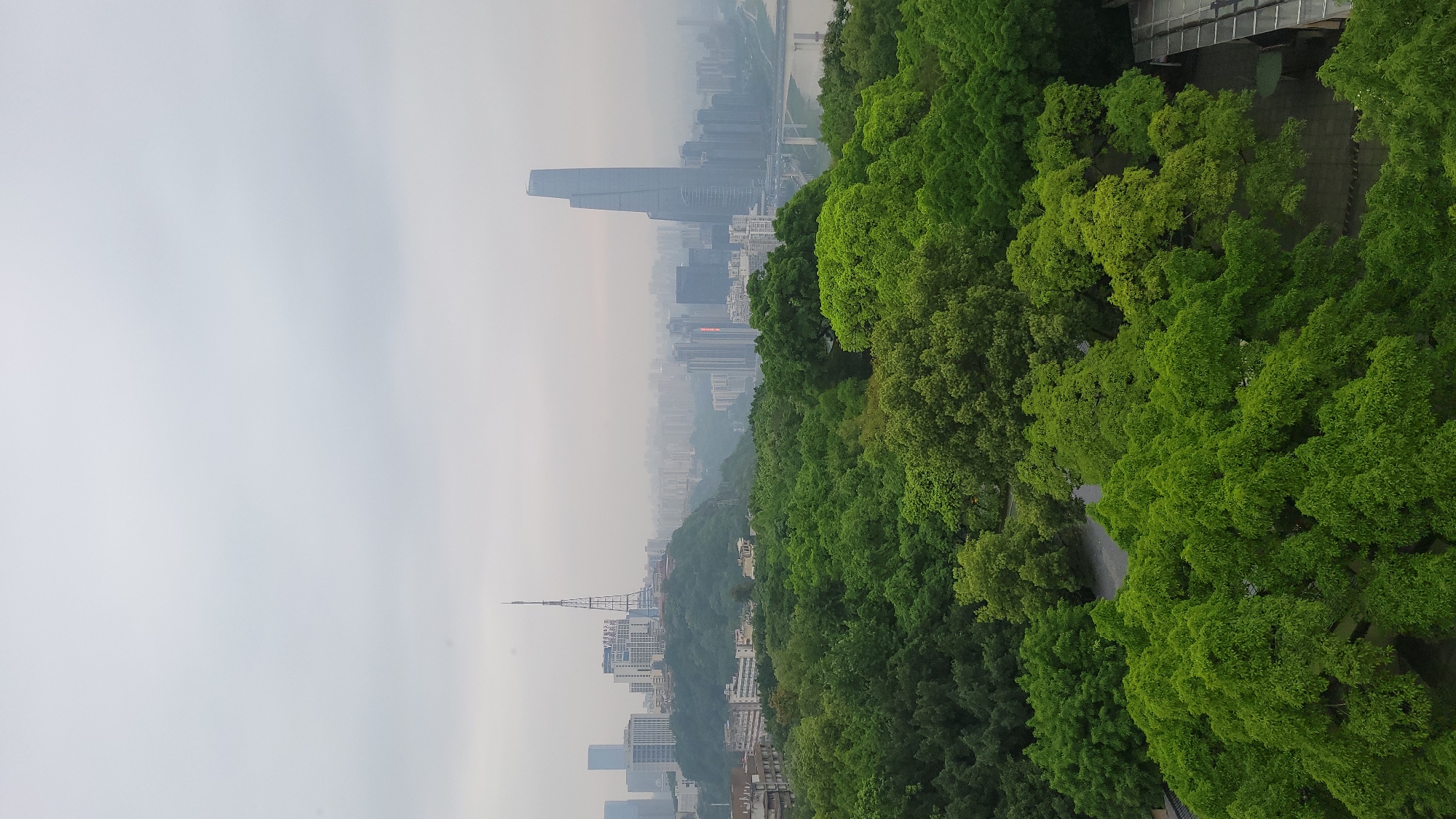 The image presents an elevated view of a city, bisected vertically by dense, green foliage. On the right, a forest of trees occupies a significant portion of the frame. A road or path winds through the trees. The left side of the image features a city skyline shrouded in haze or fog. Prominent are a few skyscrapers, including one particularly tall, rectangular building. Further in the distance, another, slender tower is visible. The cityscape appears to be a mix of high-rise buildings and lower structures, gradually fading into the overcast sky.