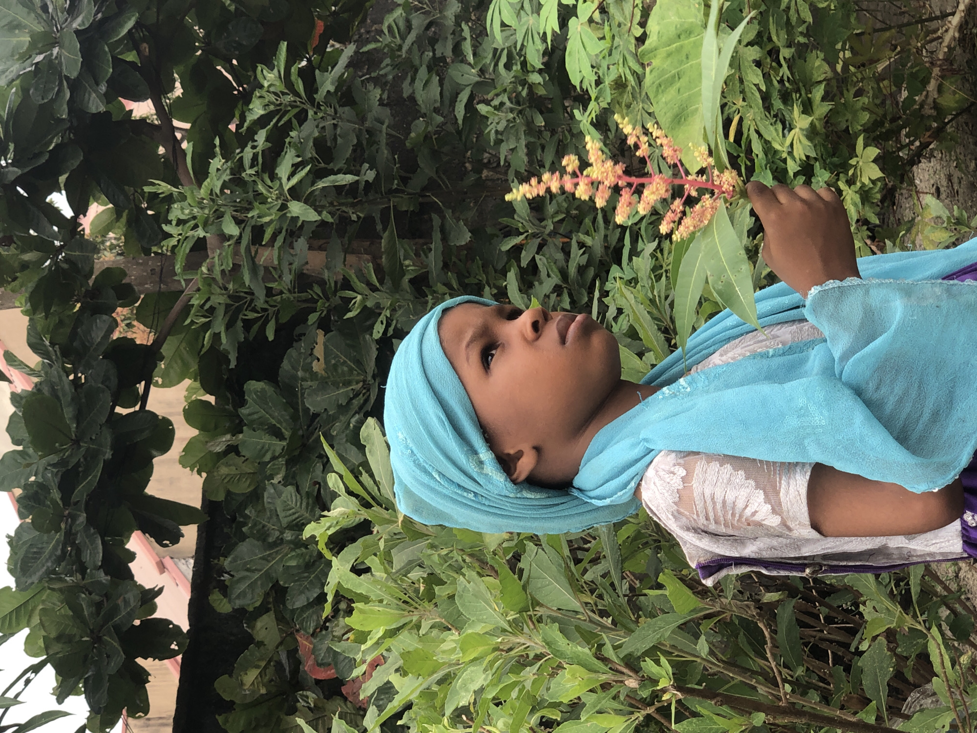 A young child wearing a light blue headscarf and a patterned garment stands outdoors amongst lush green foliage. The child's face is turned to the right, with their gaze directed upwards and to the right. In their right hand, the child is holding a small plant with delicate pink and yellow blossoms. The background consists of dense green leaves and branches, with hints of a building structure visible through the foliage. This scene appears to be set in a garden or natural area within Ado, Nigeria.