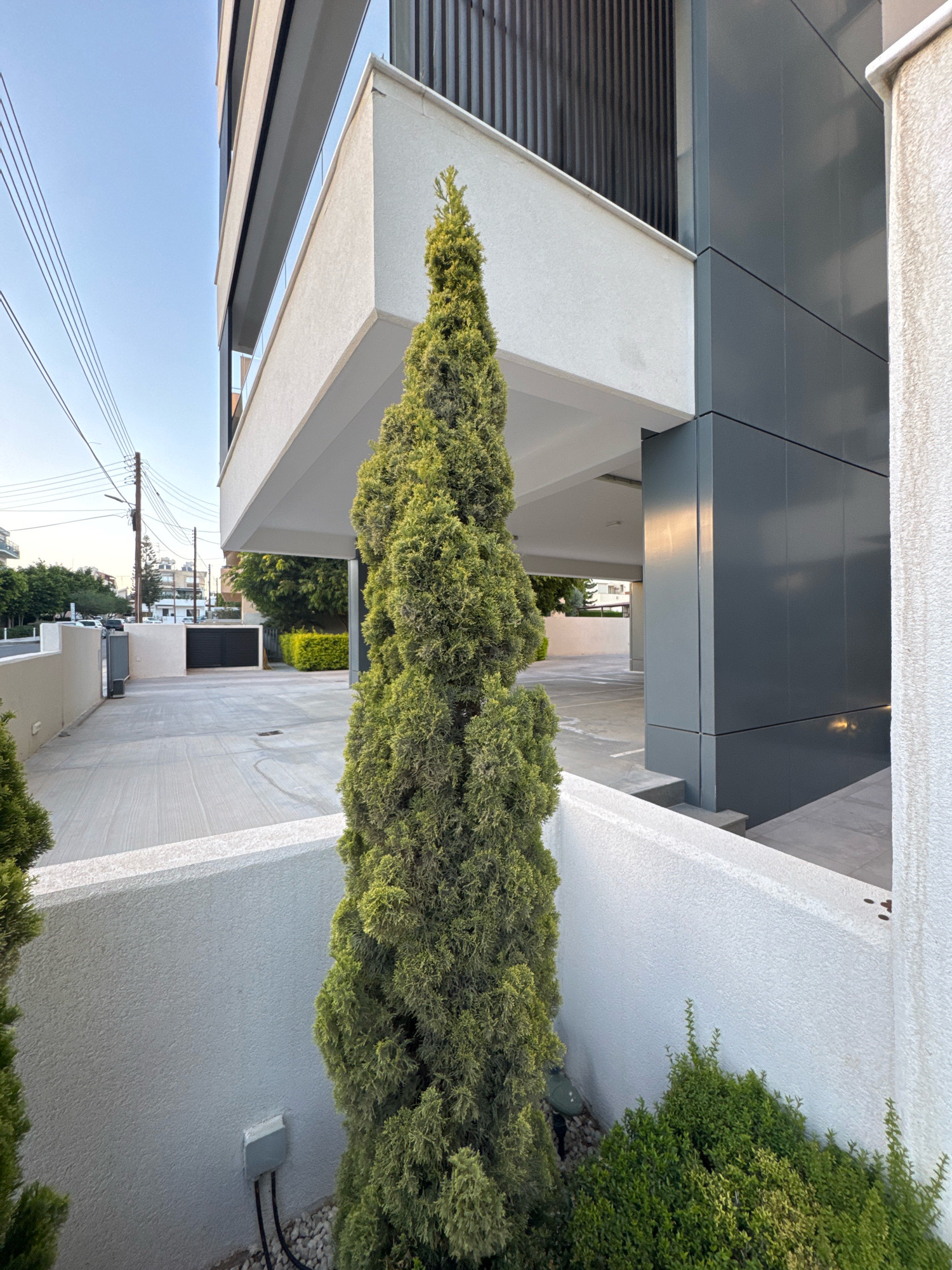 The image depicts an exterior view of a modern building in Mesa Geitonia, Cyprus. A tall, slender evergreen tree stands prominently in the foreground, centered within a white planter box. To the right of the tree, a white textured wall is visible, with a light gray electrical junction box and two black cables near the base. Behind the planter box, a paved area, likely a driveway or parking lot, stretches towards the building. The building itself features a multi-story design with a white textured facade on the lower levels and a dark gray metallic-clad upper section. A covered area, possibly a carport or entrance, is visible beneath an overhang. In the background, residential buildings and utility poles with electrical wires line a street. The sky is clear and blue, suggesting daylight.