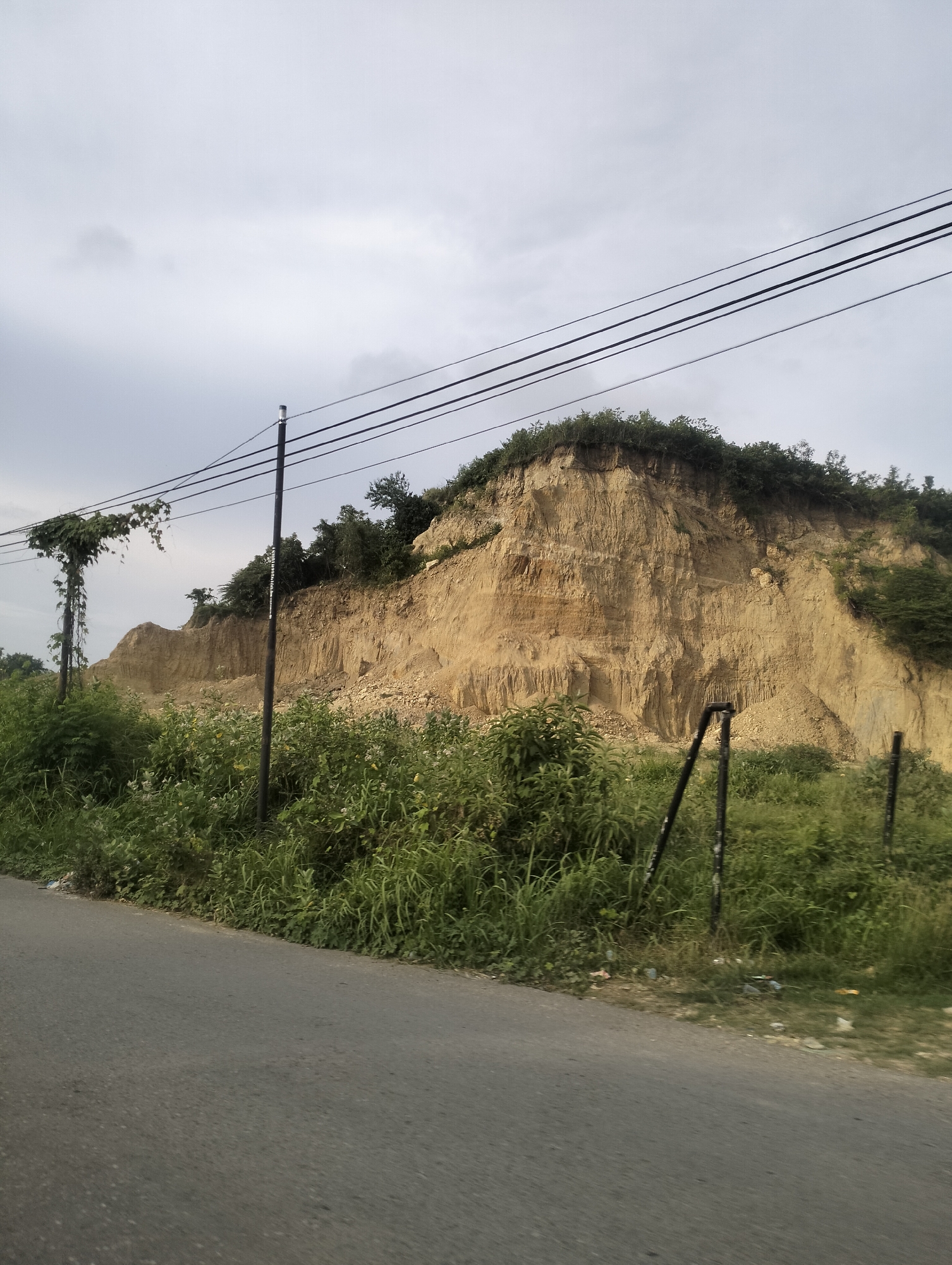 The image shows a cut-away cliff face, likely a result of construction or natural erosion, located in the city of Lhokseumawe, Indonesia. The cliff is composed of layered sandy soil, with vegetation growing along its top and in patches on its sides. In the foreground, there is a paved road running diagonally from the bottom left to the bottom right. Along the side of the road, dense green foliage and grass are visible. Several utility poles with electrical wires stretch across the upper part of the image. One utility pole on the left is heavily entwined with vines. Black metal posts, possibly part of a fence, are present in the mid-ground amidst the vegetation. The sky is overcast with a light gray hue. The scene depicts a roadside area with a prominent geological feature.