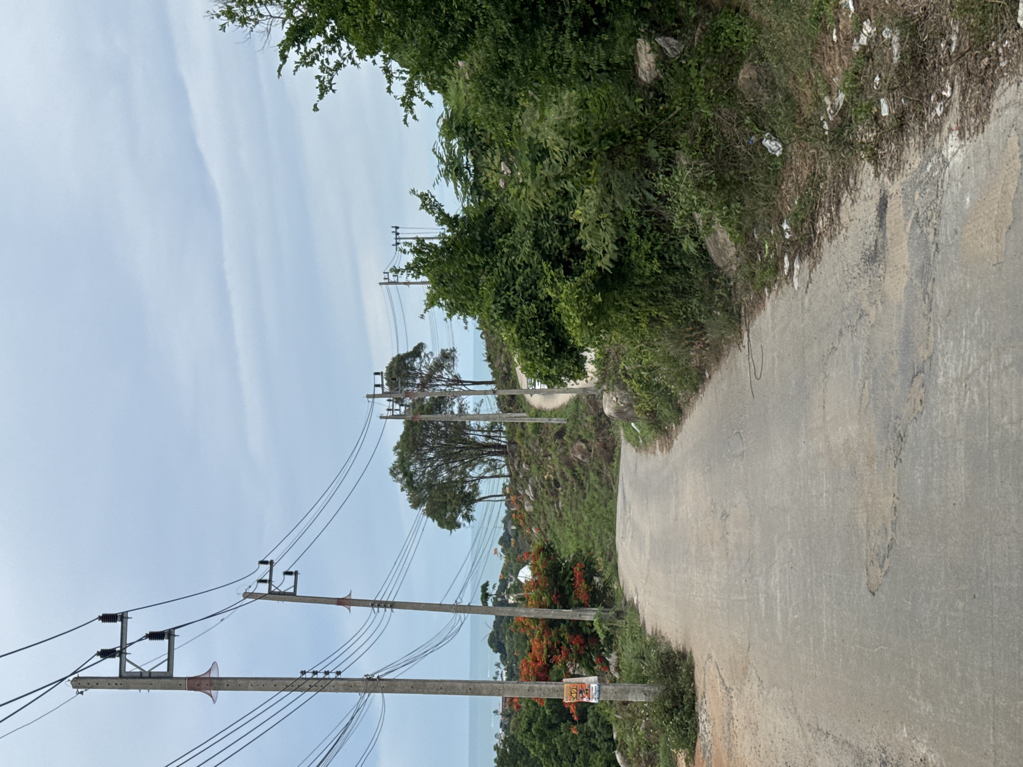The image depicts a rural road winding uphill under a cloudy sky. On the left side of the road, utility poles with multiple wires and conical speakers are visible. A sign with a picture and text is attached to one of the poles. Bright orange flowers bloom on bushes alongside the road. The right side of the road is covered with dense green foliage and rocks. The road surface is cracked and worn. In the background, trees and vegetation cover the rolling hills, with glimpses of the ocean and some buildings in the distance. The overall impression is one of a secluded, tropical or sub-tropical landscape.