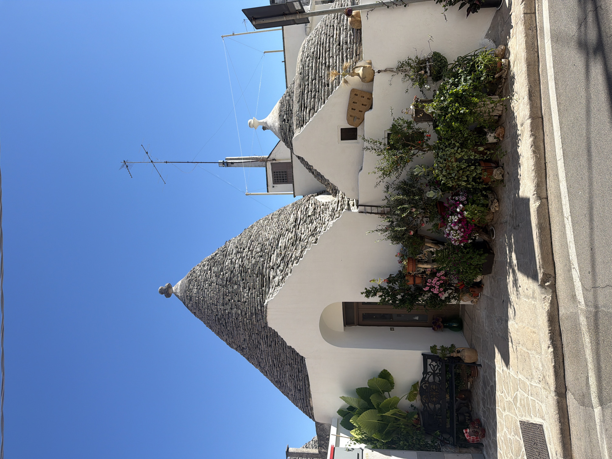 The image shows a street view in Alberobello, Italy, featuring two characteristic Trulli houses with their conical, stone-tiled roofs. The Trulli are whitewashed structures with the larger one on the left featuring a prominent arched doorway. The entrance is flanked by lush green plants and a decorative black metal bench. In front of the smaller Trulli to the right, a collection of potted plants and decorative items are arranged along the wall. The scene is bathed in bright sunlight, casting distinct shadows on the stone-paved walkway and the asphalt road in the foreground. A clear blue sky dominates the upper portion of the image, with a television antenna visible on the roof of one of the structures.