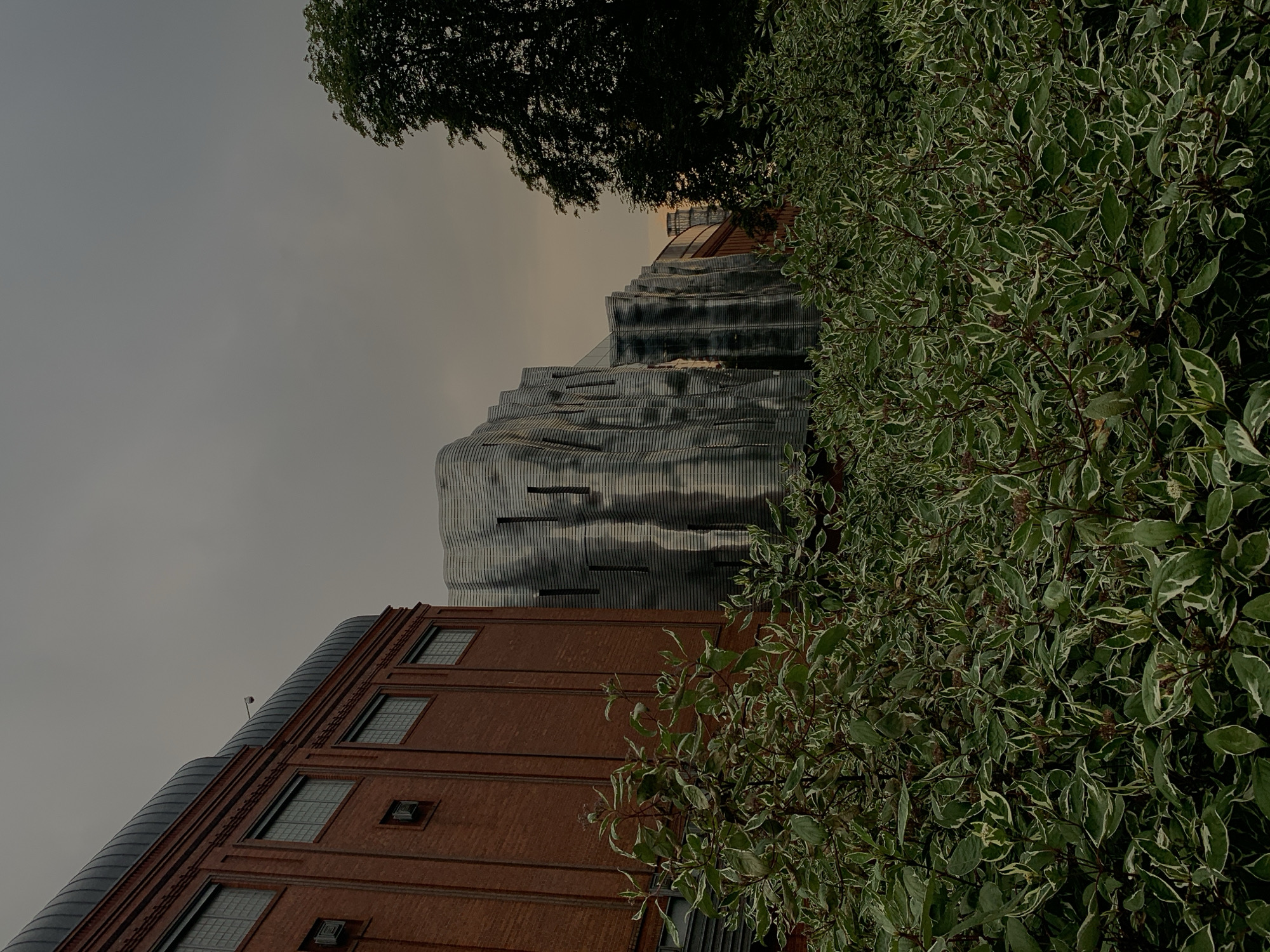 The image captures an exterior view of the Serbska building at the Poznan University of Technology, located in Poznan, Poland. The building features a striking modern facade of rippled silver metal panels, contrasting with an adjacent older brick structure. In the foreground, lush green foliage with white variegated leaves partially obscures the lower sections of the buildings. A large, dark green tree stands to the right of the buildings, its branches reaching towards a cloudy, overcast sky. The lighting suggests it is either early morning or late evening. No people are visible in the scene.