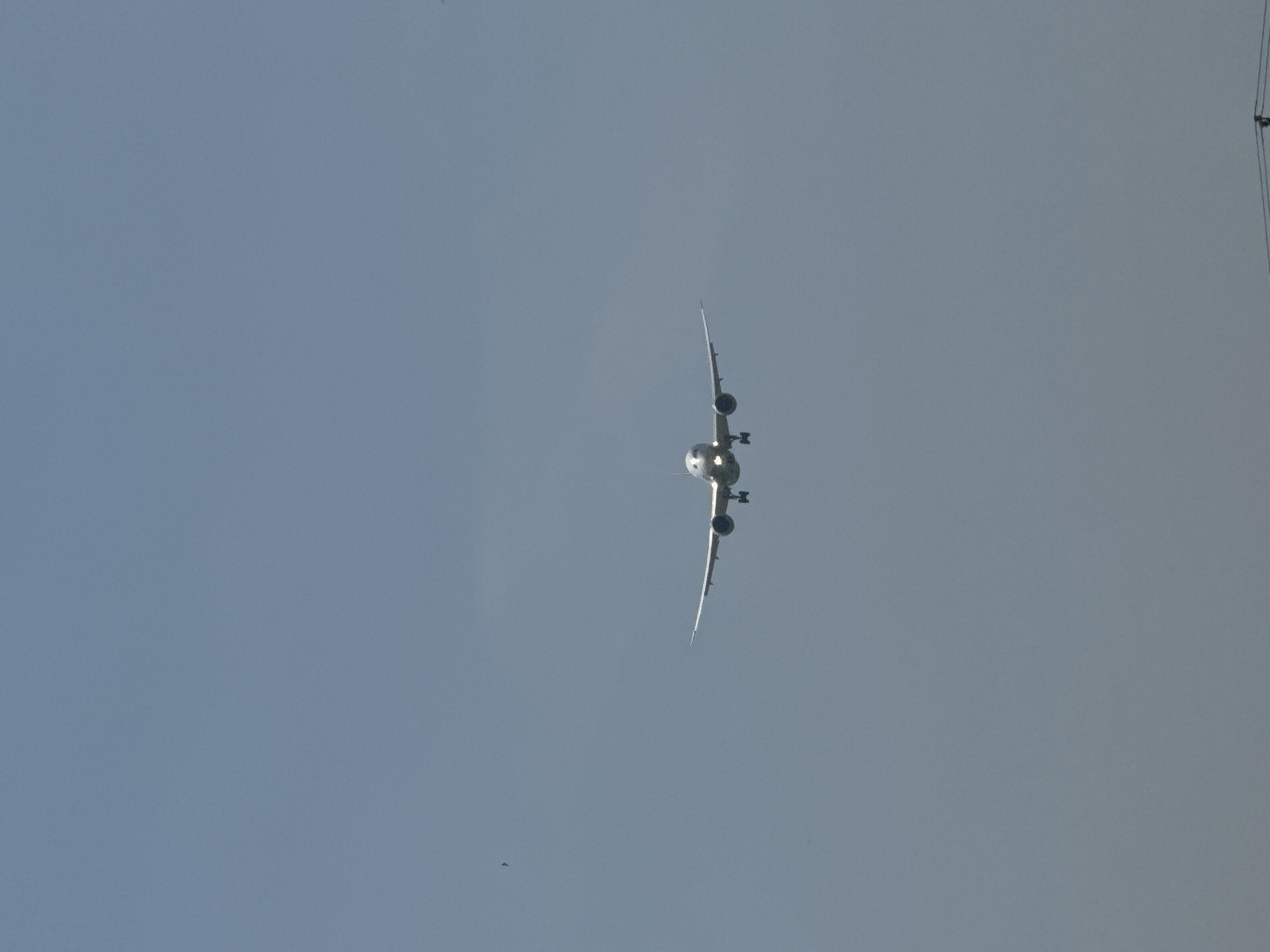 A passenger airplane is flying overhead against a hazy blue sky. The plane is oriented vertically in the frame, with its nose pointed towards the viewer. The wings are visible, and the engines are mounted beneath them. In the upper-right corner, there are some dark lines, possibly cables or branches. A small dark spot, possibly a bird, can be seen on the bottom-left. It is daytime. I am unable to verify that the image was taken in Tashkent, Uzbekistan.