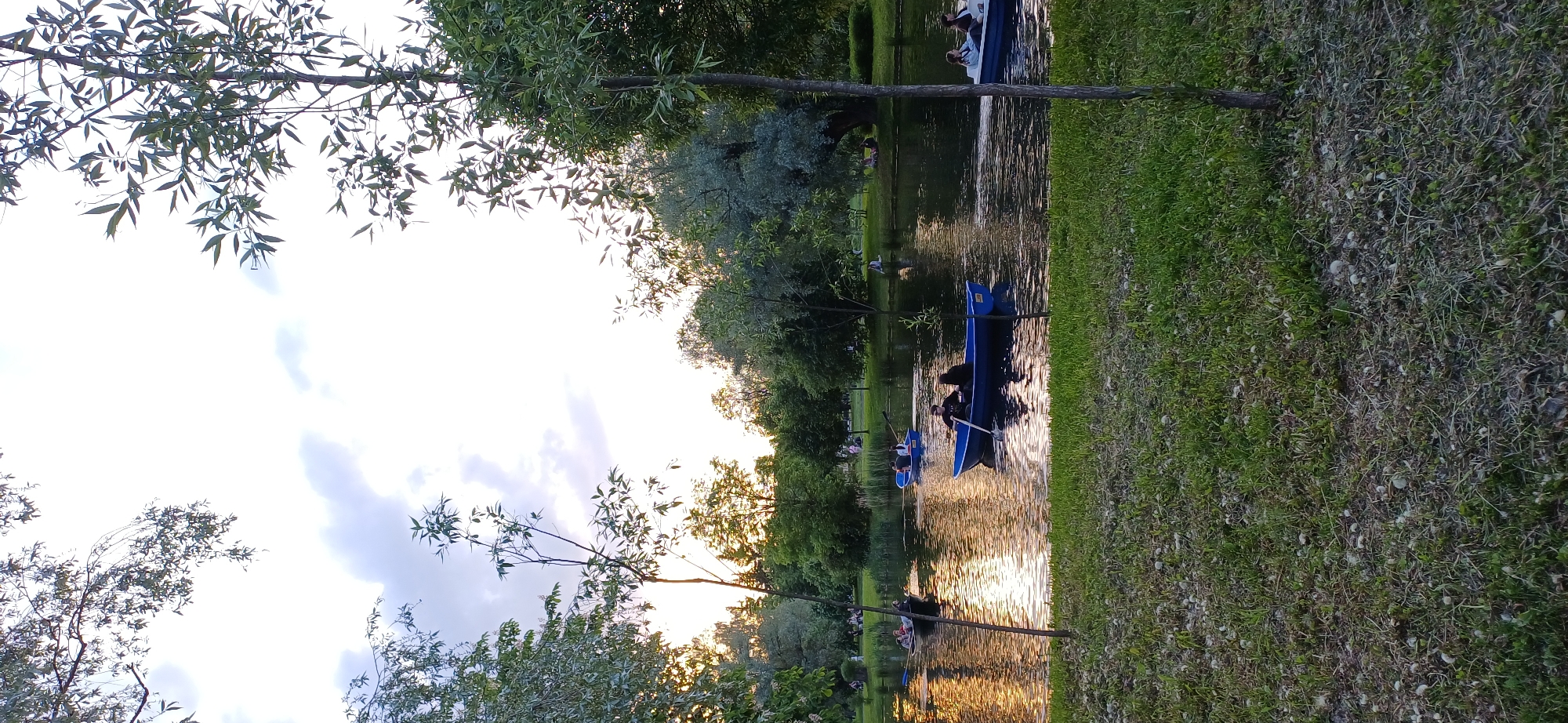The image captures a peaceful park scene in Saint Petersburg, Russia, observed during what appears to be late afternoon or early evening. The setting features a calm body of water, likely a pond or canal, which horizontally bisects the frame. Sunlight creates warm, golden reflections on the water's surface, indicating the time of day.
Lush green trees and foliage are prominent throughout the scene. Overhanging branches with willow-like leaves are visible in the foreground against a bright sky, which shows scattered light clouds. The banks of the waterway are covered in green grass, interspersed with some drier patches and small stones.
The main activity is recreational boating. Several blue paddle boats are visible on the water, each occupied by one or more people enjoying a leisurely ride. Some individuals are seen holding paddles. The overall atmosphere suggests a relaxed and pleasant outdoor experience. No discernible text is visible in the image.