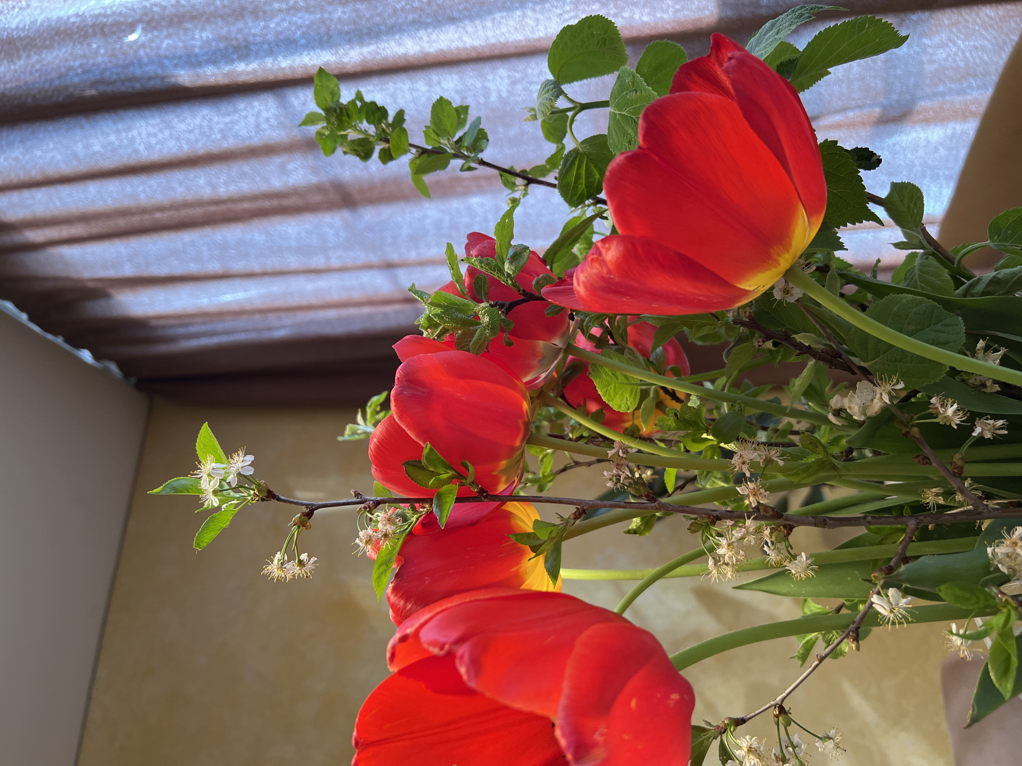 A low-angle, close-up shot of a bouquet of red and yellow tulips intermixed with sprigs of green leaves and small white flowers, set against a blurred background of an indistinct structure with light brown horizontal lines and a tan wall. The tulips are the primary focus, with their vibrant red petals tinged with yellow near the base. The bouquet is positioned such that the flowers are facing the camera. The lighting is bright, casting shadows on the petals and leaves, indicating outdoor or window light. No people are visible. The scene does not appear to be definitively connected to Khimki, Russia.