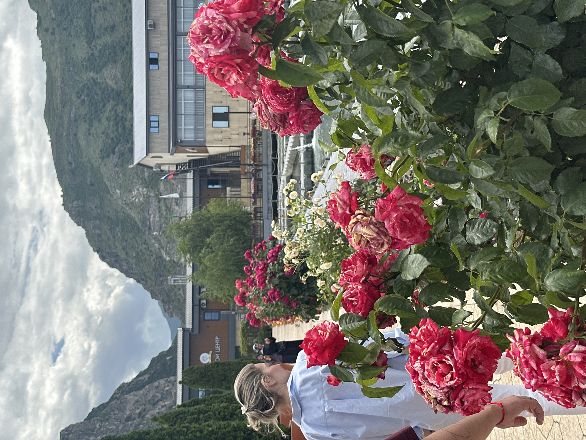 The image, correctly oriented upright, displays an outdoor scene dominated by large rose bushes in the foreground, with buildings and mountains in the background under a cloudy sky.
In the immediate foreground on the right, abundant clusters of vibrant red and white variegated roses are prominent, some showing signs of browning petals. Dark green foliage frames the flowers. A woman with blonde hair, tied back, wearing a light blue collared shirt, is seen from her back and side on the right, reaching her right hand towards the roses. A red string bracelet is visible on her wrist.
In the mid-ground, behind the flowers and the woman, several buildings are visible. One has a modern design with light-colored siding, large windows, stairs, and balconies. Further back, another building with a darker facade features the Cyrillic text "ОИ ЦЕНТР" (likely "OI Center" or "Business Center") on its side. A small Russian flag (white, blue, red) is seen flying on a pole near one of the structures. A few other people are visible in the mid-ground, standing or walking, suggesting a public or recreational area.
The background features towering, rugged mountains covered with some vegetation, meeting a sky filled with a mix of white and grey clouds.
The scene captures a daytime moment, likely late morning or afternoon, with natural lighting. The weather appears fair but cloudy. The setting, with mountains and buildings that could be part of a resort or public complex, aligns with the provided location context of Miatli, Russia. The overall mood is one of leisure and enjoying nature.