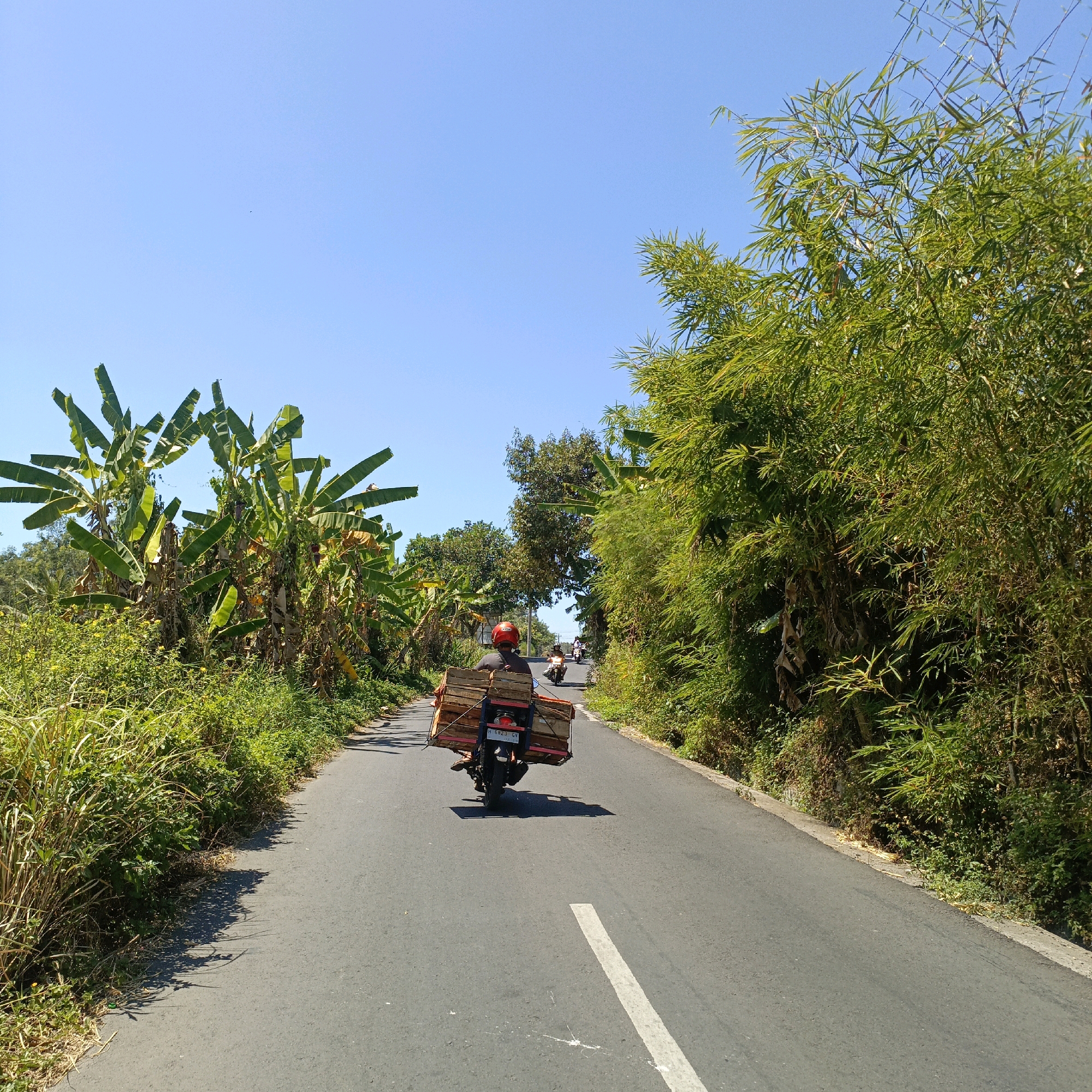 A motorcycle carrying a large load of wooden crates travels down a paved road in Jombor, Indonesia. The rider, wearing a red helmet and dark clothing, is seen from behind. The motorcycle is loaded with multiple stacked wooden boxes secured with straps. The road is bordered by lush green vegetation, including banana trees on the left and bamboo trees on the right, under a clear blue sky. In the distance, two other motorcycles can be seen further down the road. The scene depicts a sunny day in a rural or semi-rural area.
