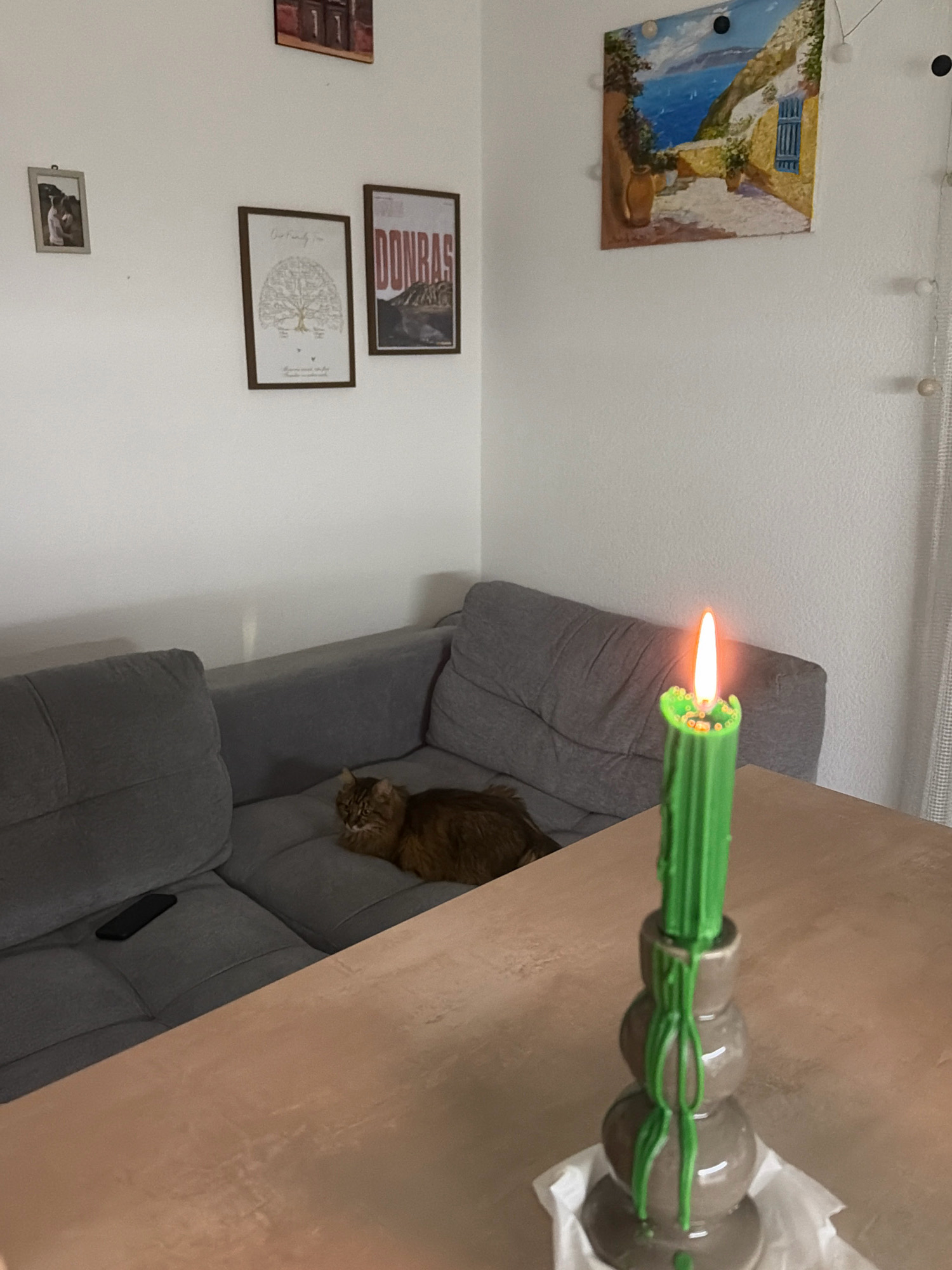 This image captures an indoor scene, likely a living room, with a grey sectional sofa and a wooden table in the foreground. A fluffy brown cat is resting on the sofa. On the wall, there are three framed pictures: a small one with two people, a larger one depicting a family tree, and another that appears to be a poster with text. Above the sofa, a painting of a coastal village is hung. In the foreground, a lit green candle in a grey ceramic holder sits on the table. The overall ambiance is cozy and domestic. The image does not provide any specific indicators of its location within the city of Kyiv, Ukraine.