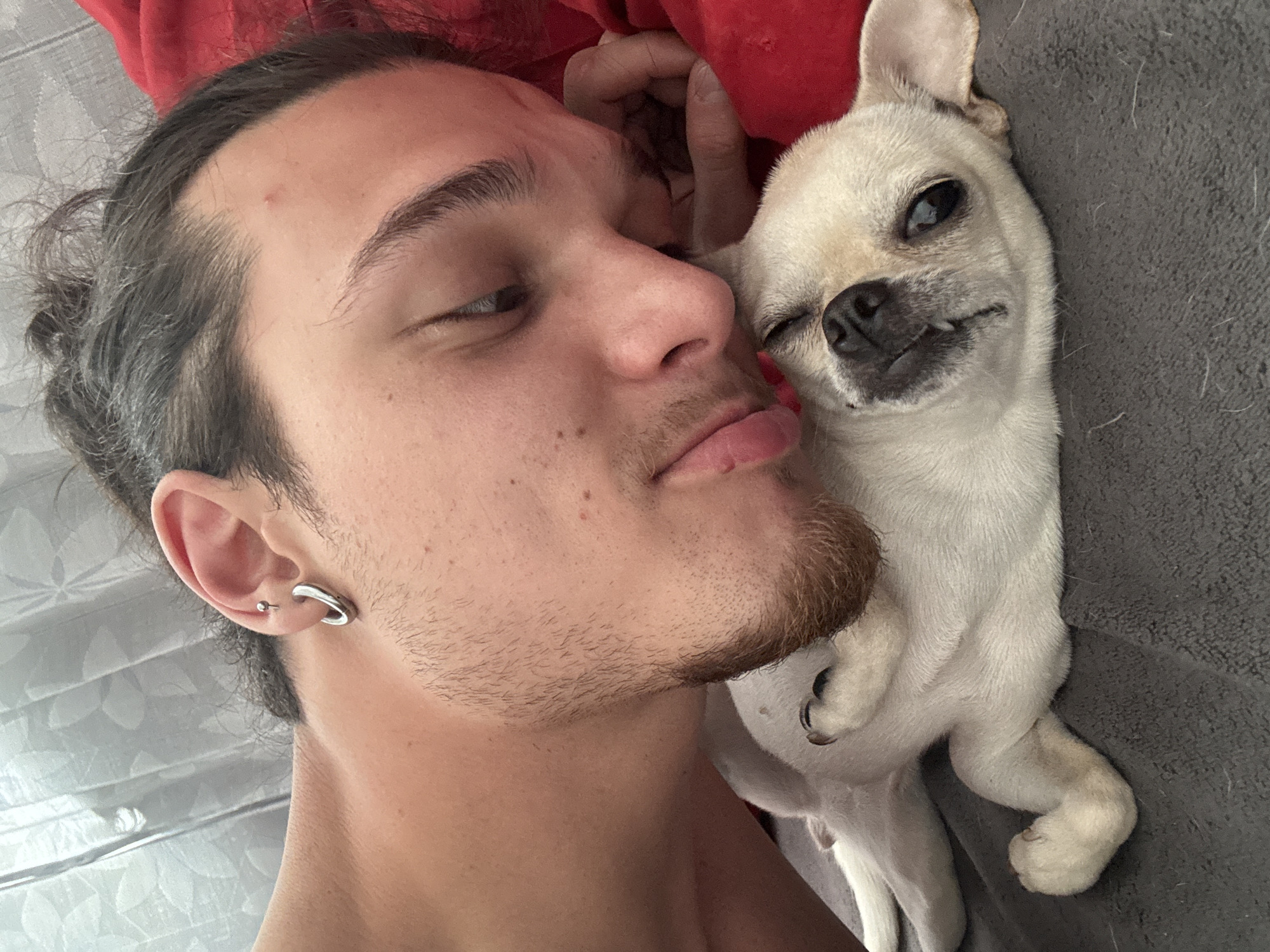 A selfie photograph shows a man with long brown hair pulled back into a bun, lying on his back with a small white chihuahua resting on his chest. The man has stubble and a trimmed beard, with an earring visible in his left ear. He is looking at the camera with a slightly pouty expression. The chihuahua is partially winking and also looking at the camera. The background consists of a grey blanket and a red pillow. The location is not possible to identify within the city of Sofia, Bulgaria from the provided image.