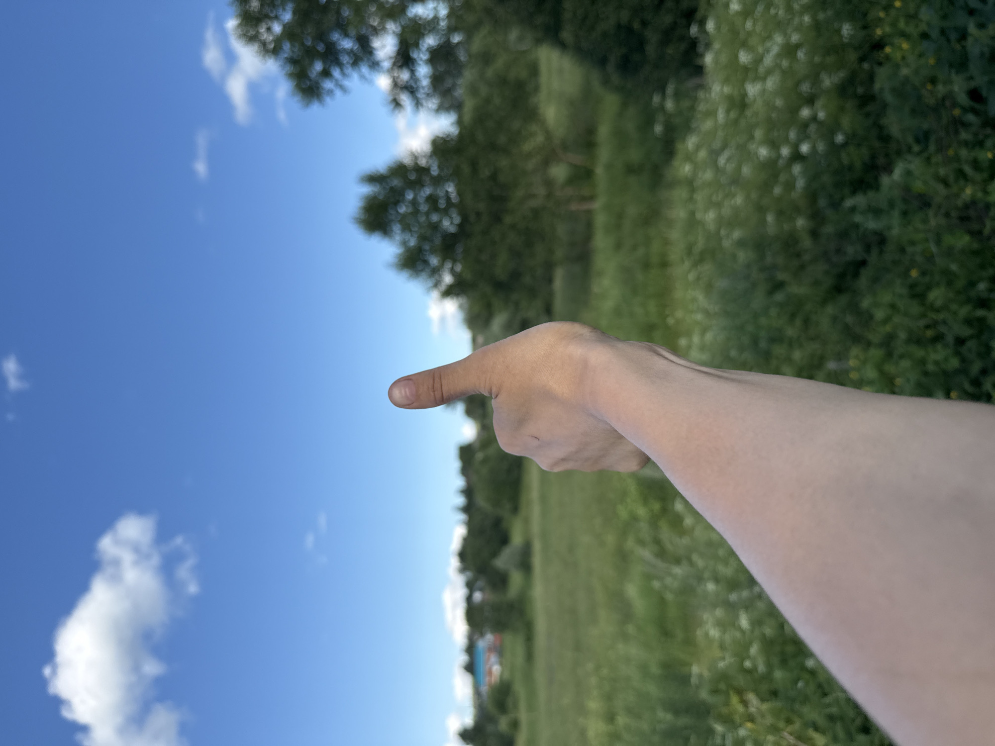 The image shows a person's hand, with the index finger pointed to the left, against a backdrop of a bright blue sky with scattered white clouds. The hand and arm are in focus, with the skin appearing fair.
Behind the hand, the scene transitions to a blurry green landscape, suggesting an outdoor setting. This landscape includes trees and tall grass, with some wildflowers or small yellow flowers visible amongst the greenery. The overall impression is of a sunny day, likely in the late spring or summer, given the lush vegetation.
The focus is primarily on the hand and the clear sky, with the landscape serving as a soft, blurred background. There is no visible text in the image. The orientation of the image is such that the sky is on the left and the ground is on the right, with the hand entering from the bottom right and pointing towards the upper left. The image has been rotated so that the arm appears to be pointing upwards and to the left.