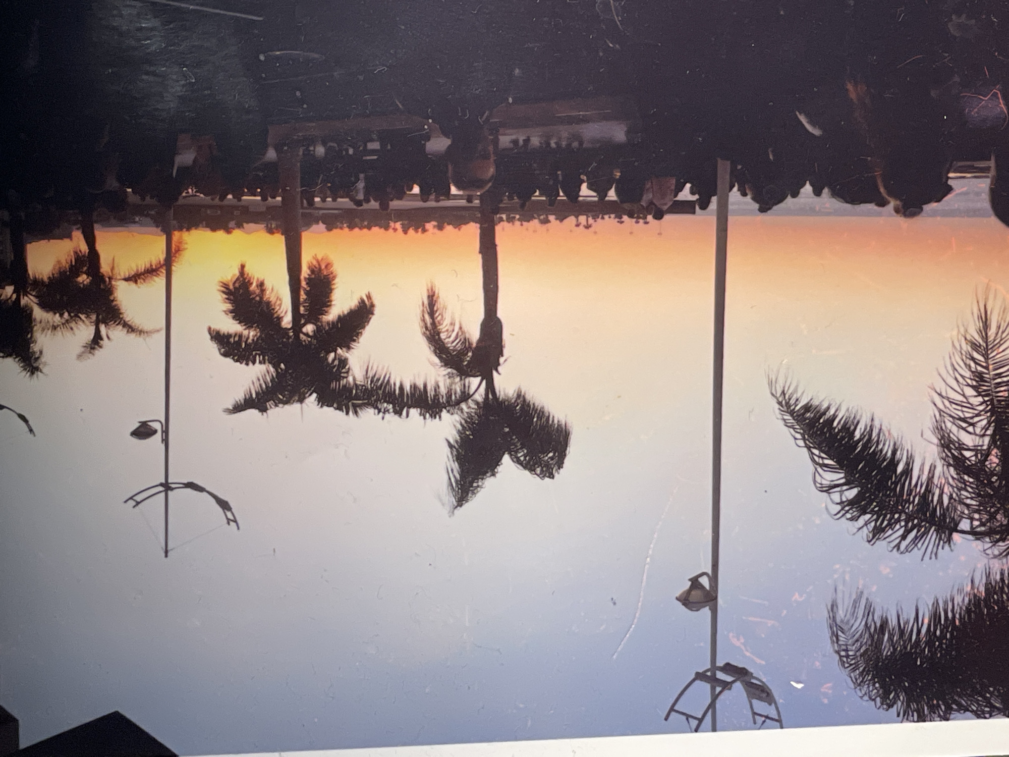 The image shows an upside-down view of a scene featuring palm trees and a sunset-like sky gradient. A row of dark, indistinct figures is visible along the top edge, possibly seated under a structure. There are lampposts with arched supports. The location, Maidstone, United Kingdom, cannot be confirmed solely from the visual elements in the image.