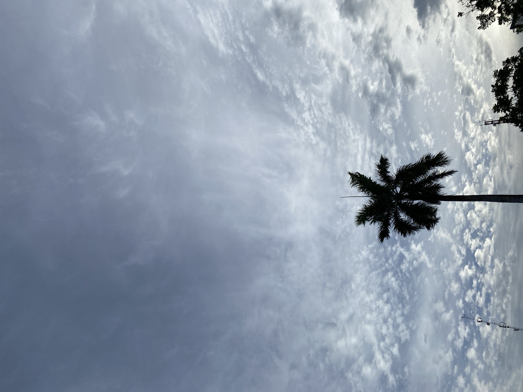 A lone palm tree stands silhouetted against a cloudy sky in Banda Aceh, Indonesia. The sky is filled with a mix of wispy cirrus clouds and scattered cumulus clouds, creating a textured backdrop. To the left, a telecommunications tower is visible, its antenna array standing tall. In the lower right, the tops of other trees can be seen, also silhouetted against the bright sky. The overall impression is one of a serene, overcast day in a coastal city.