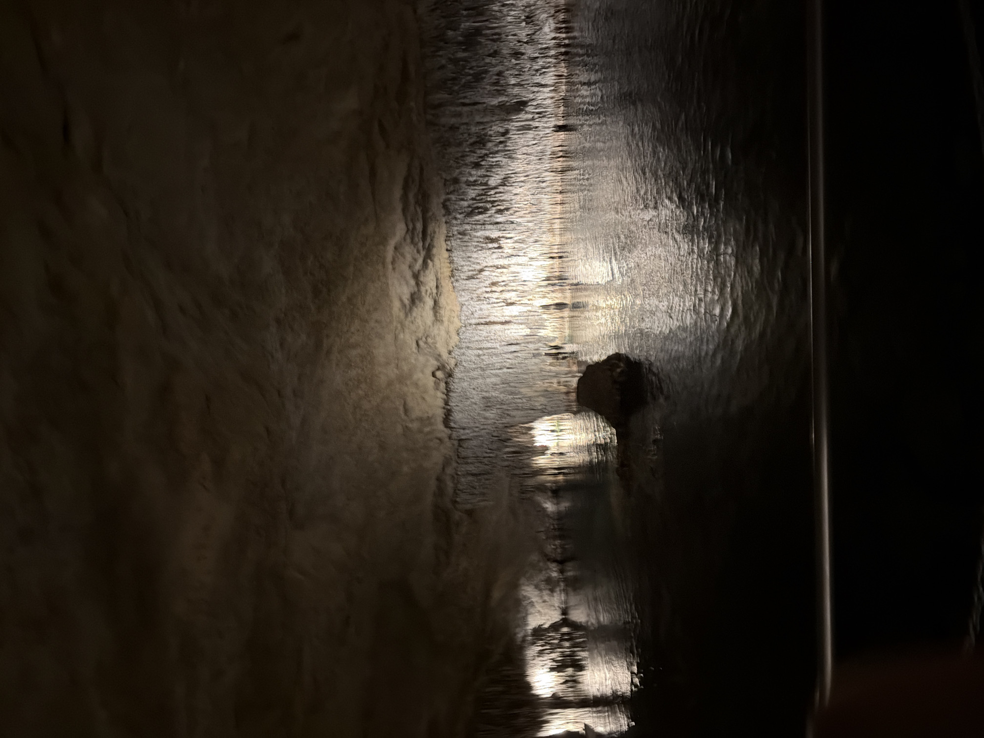 The image shows a rock formation inside the Caves of Drach in Manacor, Spain. Light reflects on the rock surface and the dark water below, creating a shimmering effect. The composition is vertically oriented. A portion of the cave wall is visible to the left and a dark void is on the right.