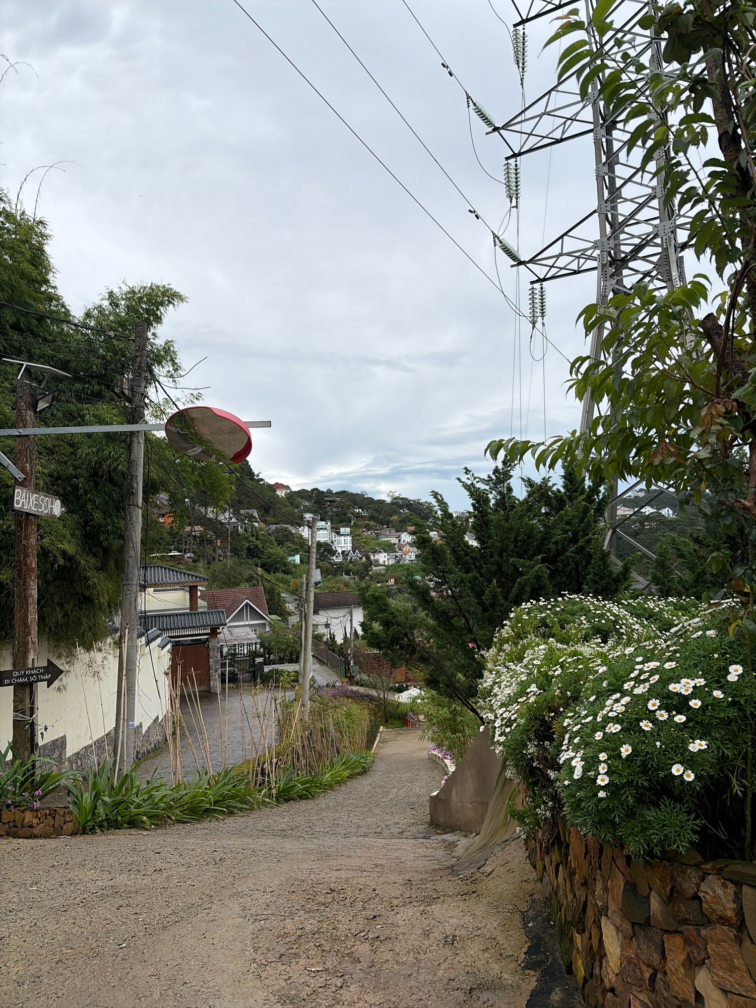 A downhill dirt path winds through a residential area in Da Lat, Vietnam. On the left side of the path, a street sign with Vietnamese text reads "BAIXESOHO" and "QUY KHACH DI CHAM SO THAP," indicating directions. A red traffic mirror is mounted on a pole above the sign. Adjacent to the path, a low wall borders a property with a white building and a dark wooden gate. Bamboo stalks line the path, and lush green plants grow alongside.
On the right side of the path, a dense bed of white daisies blooms against a stone wall. A large electricity pylon stands tall behind the flowers, with power lines stretching across the overcast sky. In the background, houses are scattered across a hillside covered in trees. The scene suggests a slightly overcast day with a cool, humid atmosphere typical of Da Lat's mountainous climate.