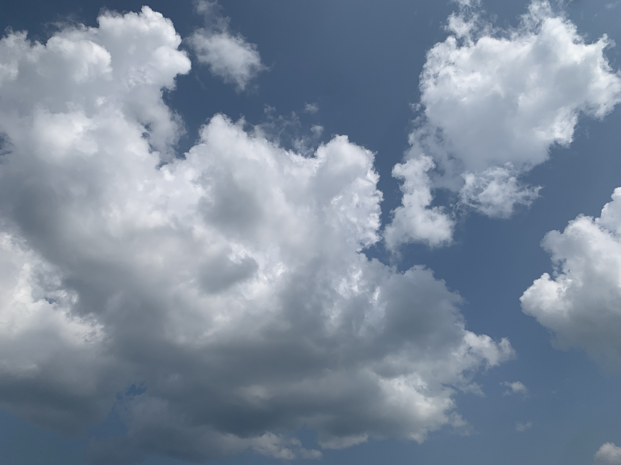 The image displays a cloudy sky on a clear day. The clouds are white and puffy, with some darker areas indicating thicker cloud formations. The sky is a deep blue. There are no people, animals, buildings, or any other discernible objects or actions visible in the image. The scene appears to be an outdoor shot taken from a ground-level perspective, looking upwards at the sky. The location in the city of Panteleevka, Russia, is not visually represented in this image.
