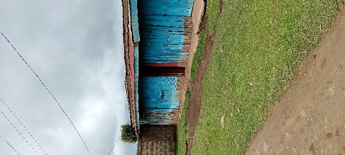The scene depicts an exterior view of a single-story building located in Gatakaine, Kenya, under a heavily overcast sky. The building features walls constructed from weathered, vertically arranged wooden planks, painted a faded light blue with extensive paint peeling and exposed natural wood. A rectangular doorway with a dark reddish-brown frame is visible towards the center-right, revealing a dark, obscured interior. The roof is made of corrugated metal, appearing reddish-brown. To the left, an unpainted wall constructed from stacked concrete blocks abuts the building. The foreground consists of a patch of green grass separating the building from a dirt path or road on the left. A narrow, irregular dirt track runs across the grass directly in front of the structure. Multiple thin, dark utility lines are visible traversing the cloudy sky overhead. No individuals or active events are present within the frame.