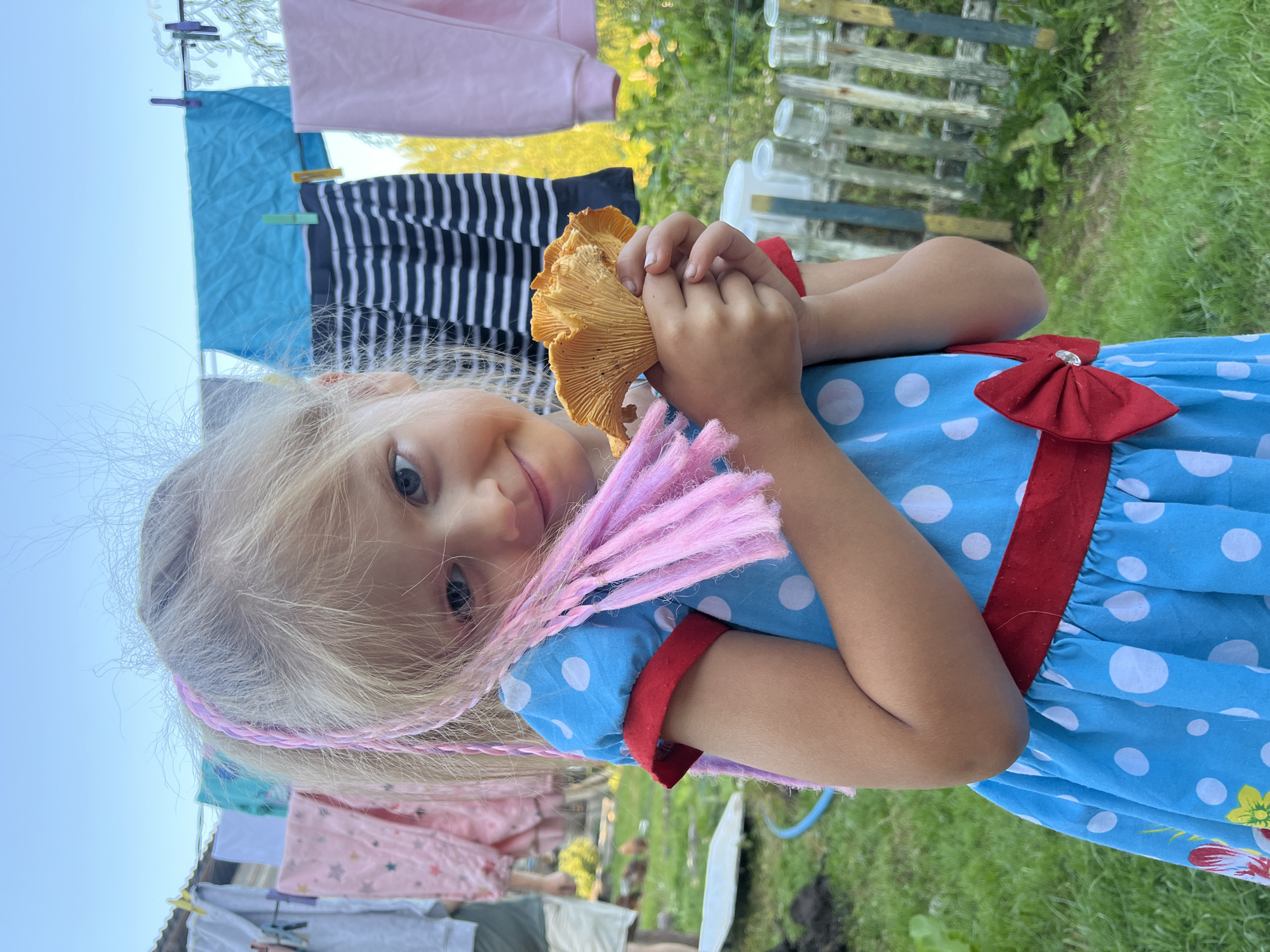 In Dunilavichy, Belarus, a young blonde girl with pink braided hair extensions is holding an orange chanterelle mushroom in her hands. She is wearing a blue polka-dotted dress with a red ribbon belt and a red bow. In the background, laundry hangs on a clothesline, and a wooden fence is visible. The scene appears to be outdoors in a rural setting.