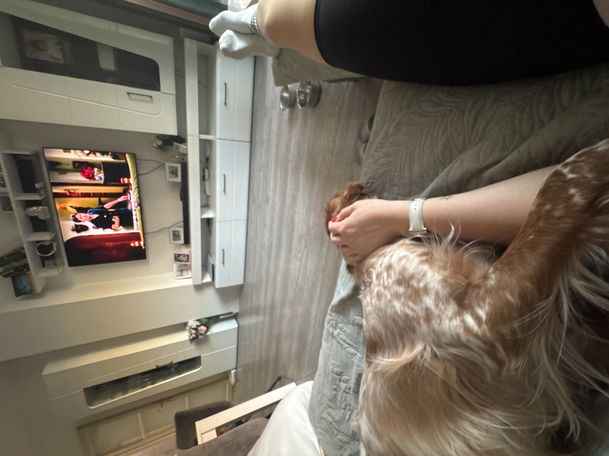 A person lies on a sofa, wearing black pants and grey socks. The person's arm, adorned with a white smartwatch, rests on a brown and white dog's head. In the background, a television displays an ongoing scene. Adjacent to the TV, are white cabinets. The location appears to be an interior space, potentially a living room. Given the request for a city, but lack of information in the scene to make that determination, I can't provide any data for Sofia, Bulgaria.