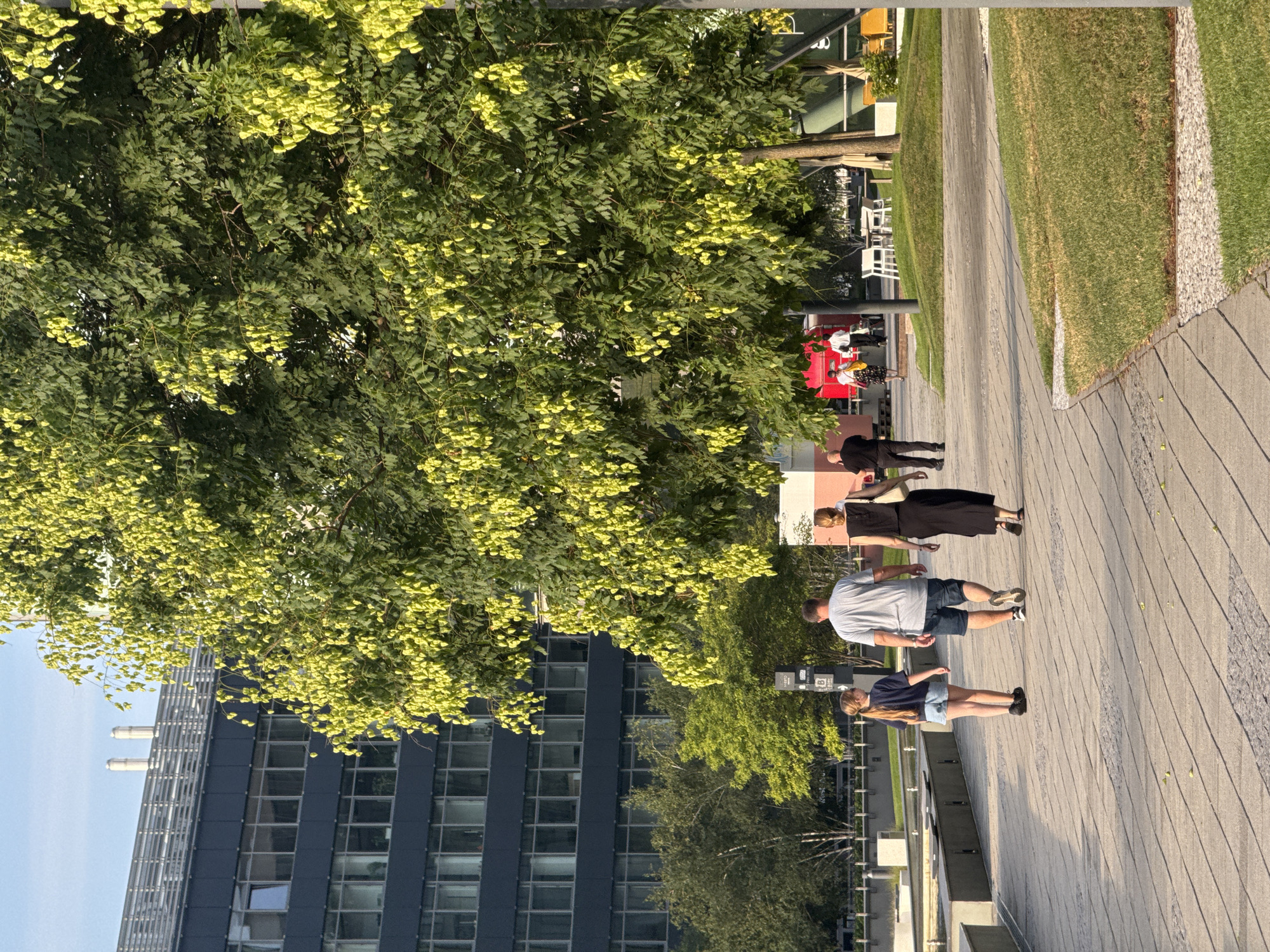 In Bratislava, Slovakia, in front of a modern office building with a dark facade and numerous windows, a paved walkway runs alongside a lush green lawn and a large tree with green leaves and seed pods. Several people are walking on the pathway. In the foreground, a young girl with blonde hair in a ponytail, wearing a dark t-shirt and denim shorts, walks ahead of a man in a grey t-shirt and blue shorts and a woman in a black dress. Further in the background, two other individuals are walking, and a red vehicle is visible. White tables and chairs are set up on the lawn, suggesting an outdoor seating area. The scene is bathed in the warm light of what appears to be late afternoon or early morning.