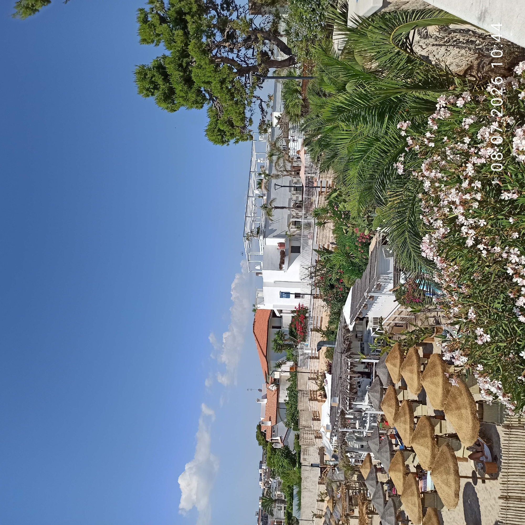 This is a medium-distance, eye-level, outdoor shot taken on a sunny day in Trani, Italy. The scene depicts a beach resort with numerous thatched umbrellas and lounge chairs arranged on a sandy beach. In the background, there are white buildings with modern architecture, some featuring rooftop terraces and palm trees. Lush greenery, including flowering bushes and palm fronds, is visible throughout the scene. A small portion of a wooden fence runs along the bottom of the frame. In the bottom right corner, a timestamp reads "08.07.2026 10:44". There are no visible people in the foreground, but a person is reclining on a lounge chair under an umbrella in the mid-ground. The sky is clear and bright blue with a few wispy clouds.
